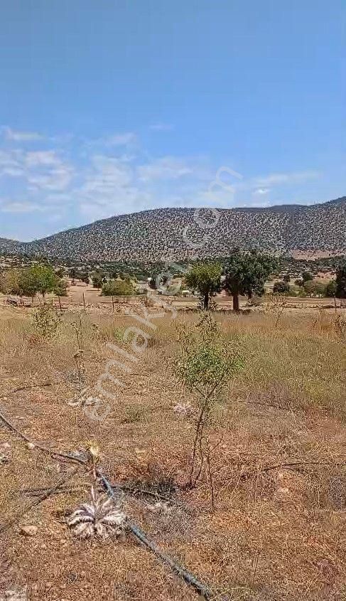 Beğiş Köyü’nde Satılık Tarla – Yolu, Evi Ve Yatırım Fırsatıyla! - Görsel 8