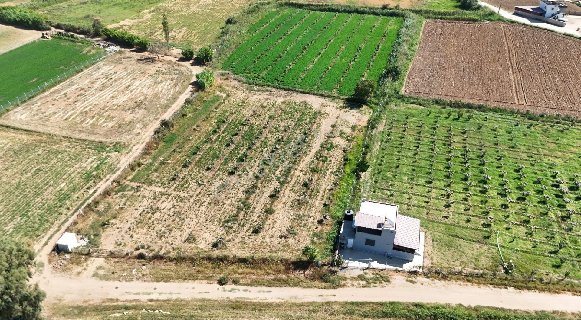 Blokyapı Gayrimenkul'den Aydın Köşk'te Yatırımlık 4200 M2 Tarla - Görsel 4