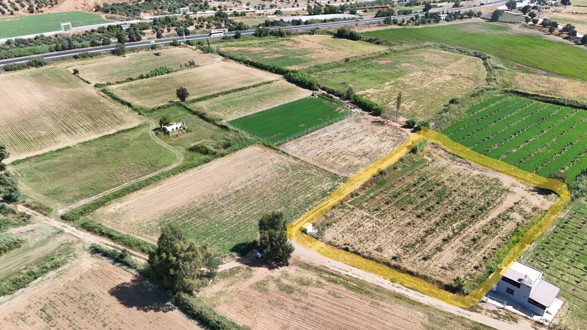Blokyapı Gayrimenkul'den Aydın Köşk'te Yatırımlık 4200 M2 Tarla - Görsel 3