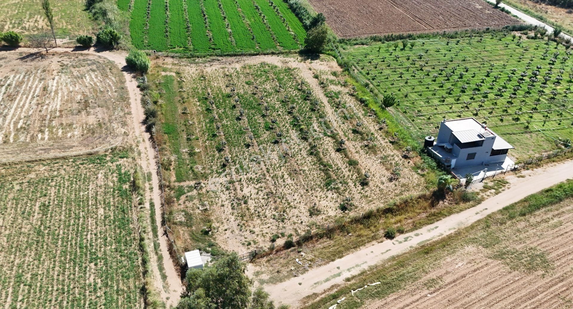 Blokyapı Gayrimenkul'den Aydın Köşk'te Yatırımlık 4200 M2 Tarla - Görsel 2