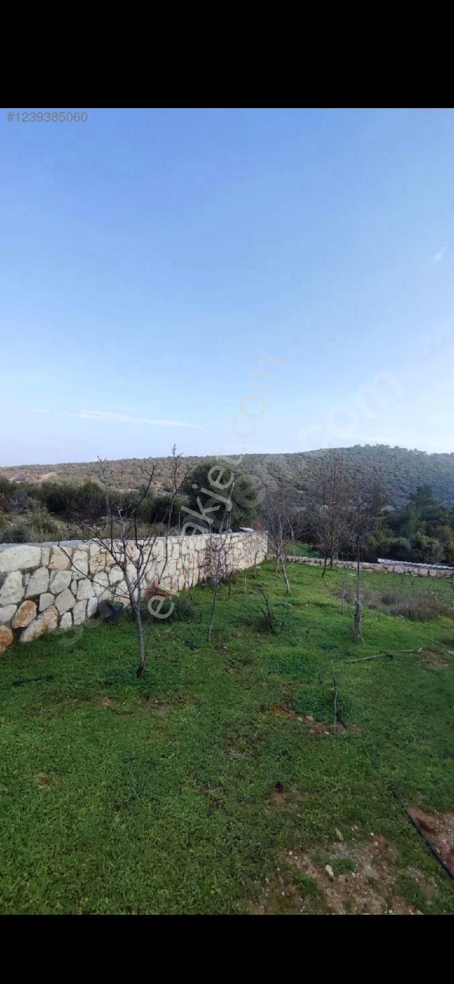 Arsa Fiyatına Ev İçinde 150 Metre - Görsel 10