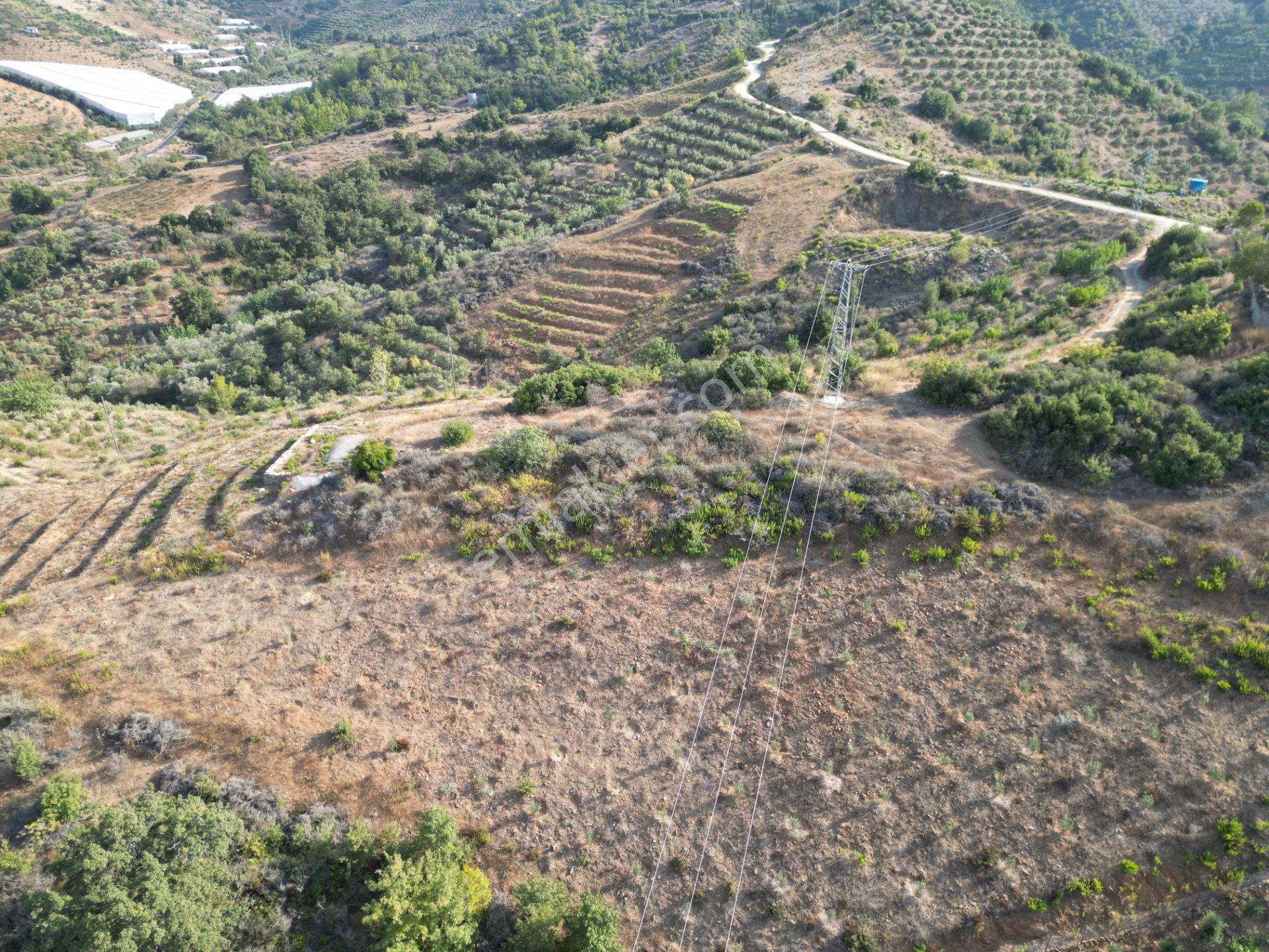 Gazipaşa Koru’da Satılık 1400 Metrekare Villa Arsası Doğa Ve Vadi Manzaralı - Görsel 9