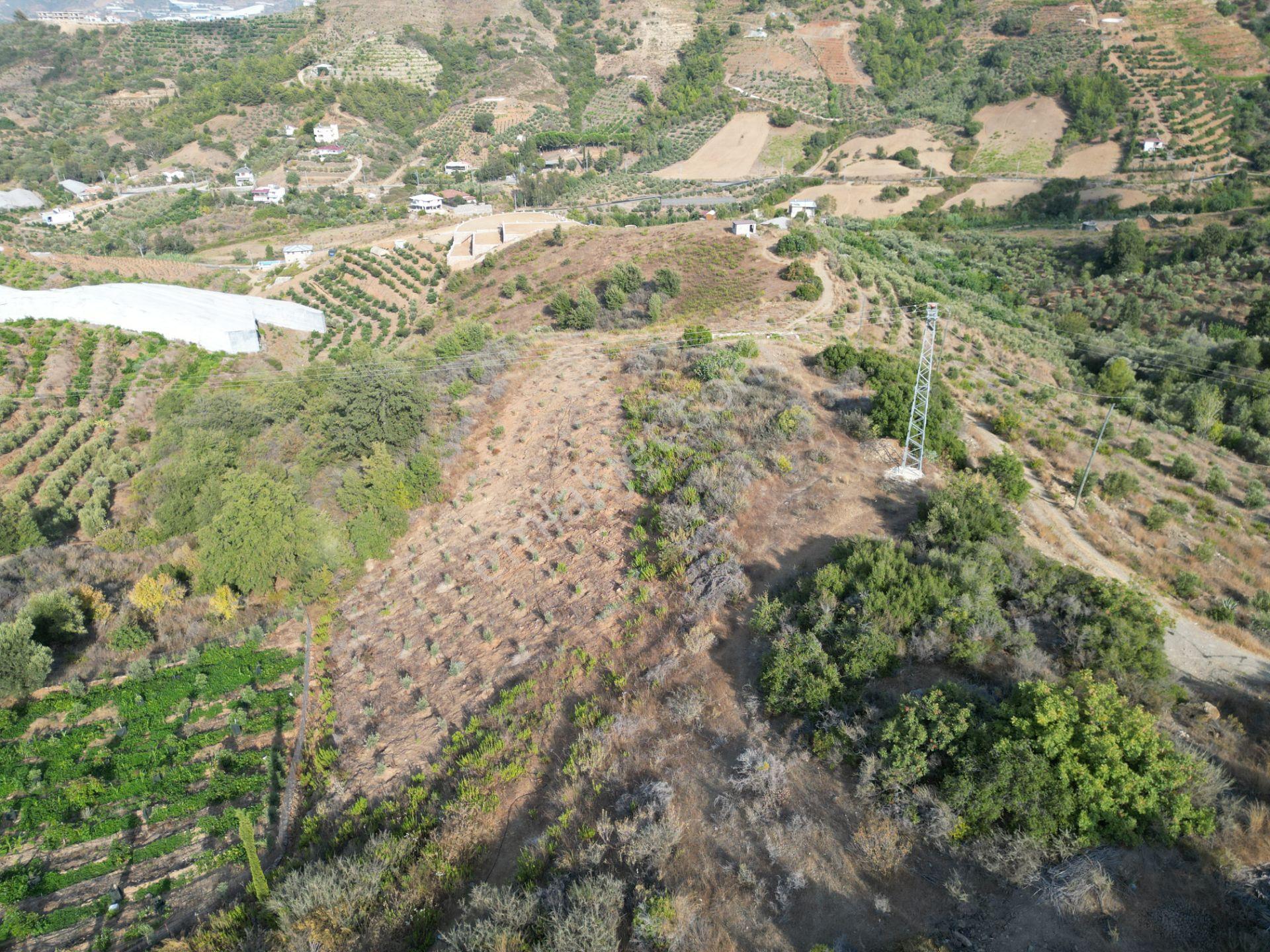 Gazipaşa Koru’da Satılık 1400 Metrekare Villa Arsası Doğa Ve Vadi Manzaralı - Görsel 8