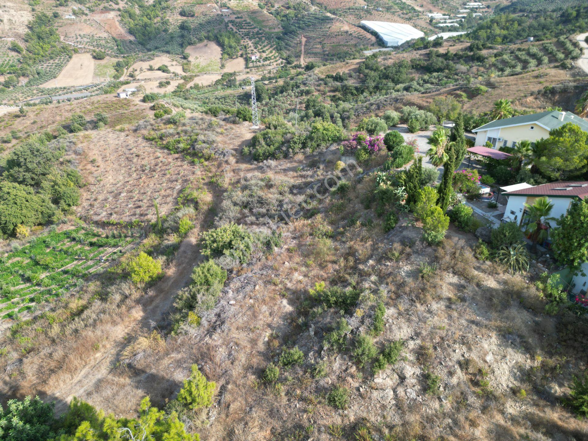 Gazipaşa Koru’da Satılık 1400 Metrekare Villa Arsası Doğa Ve Vadi Manzaralı - Görsel 2