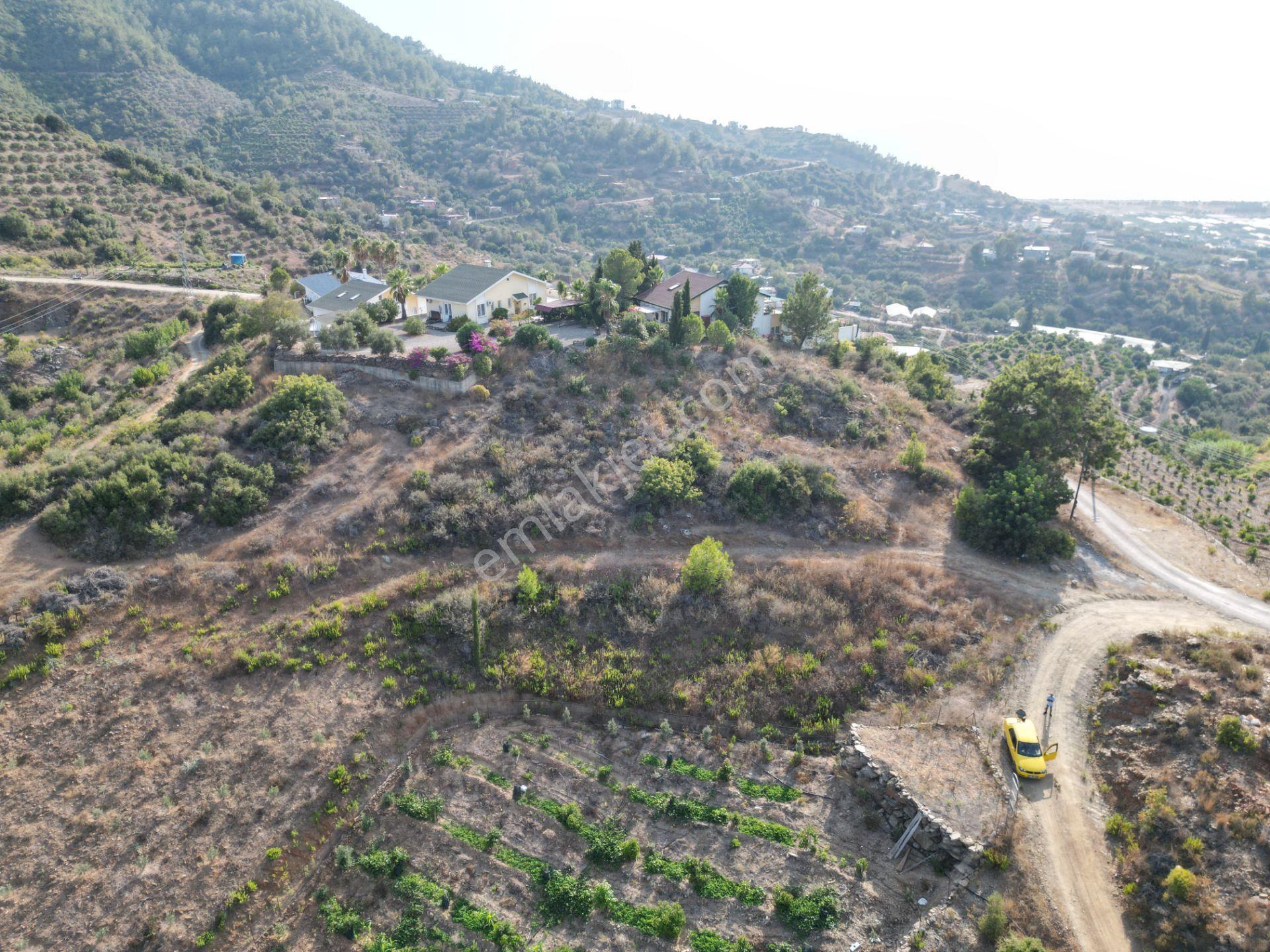 Gazipaşa Koru’da Satılık 1400 Metrekare Villa Arsası Doğa Ve Vadi Manzaralı - Görsel 4