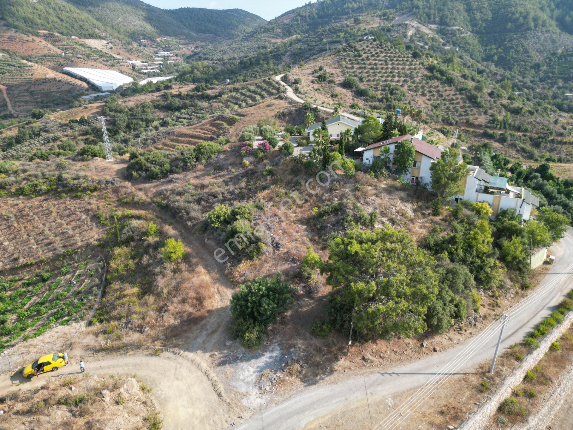 Gazipaşa Koru’da Satılık 1400 Metrekare Villa Arsası Doğa Ve Vadi Manzaralı - Görsel 5
