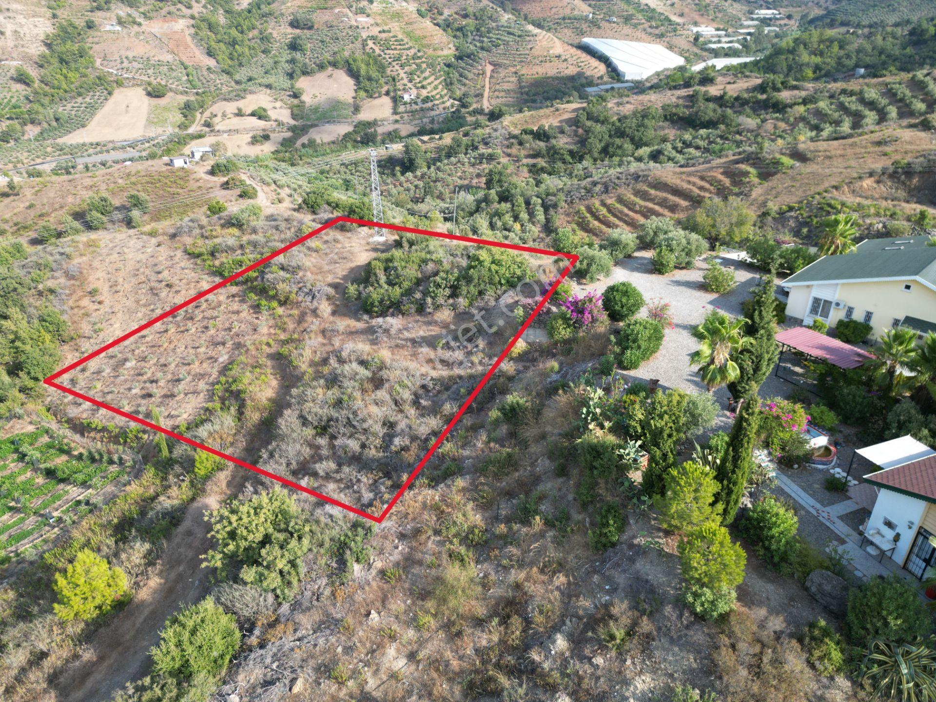Gazipaşa Koru’da Satılık 1400 Metrekare Villa Arsası Doğa Ve Vadi Manzaralı - Görsel 6