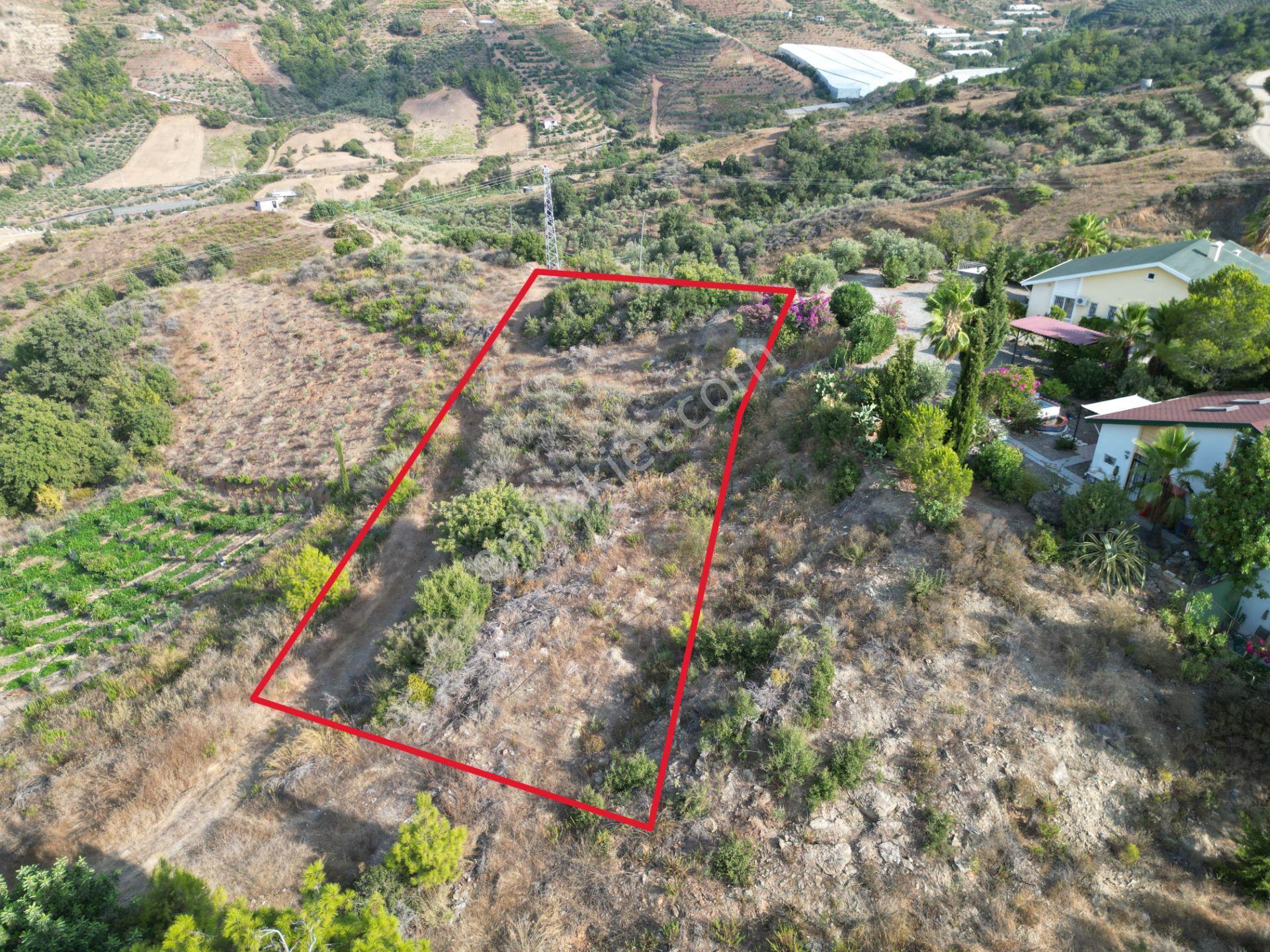 Gazipaşa Koru’da Satılık 1400 Metrekare Villa Arsası Doğa Ve Vadi Manzaralı - Görsel 3