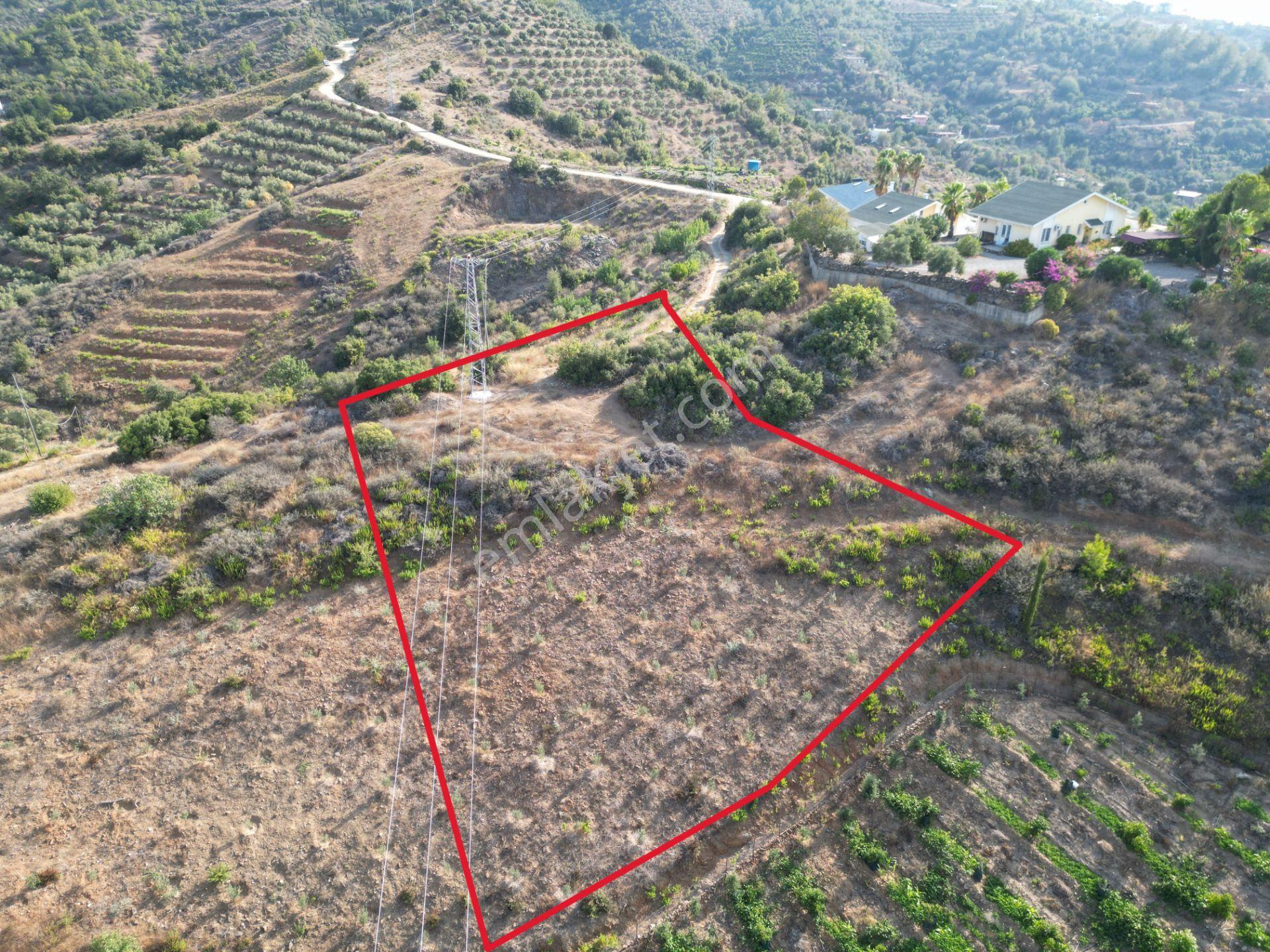 Gazipaşa Koru’da Satılık 1400 Metrekare Villa Arsası Doğa Ve Vadi Manzaralı - Görsel 10