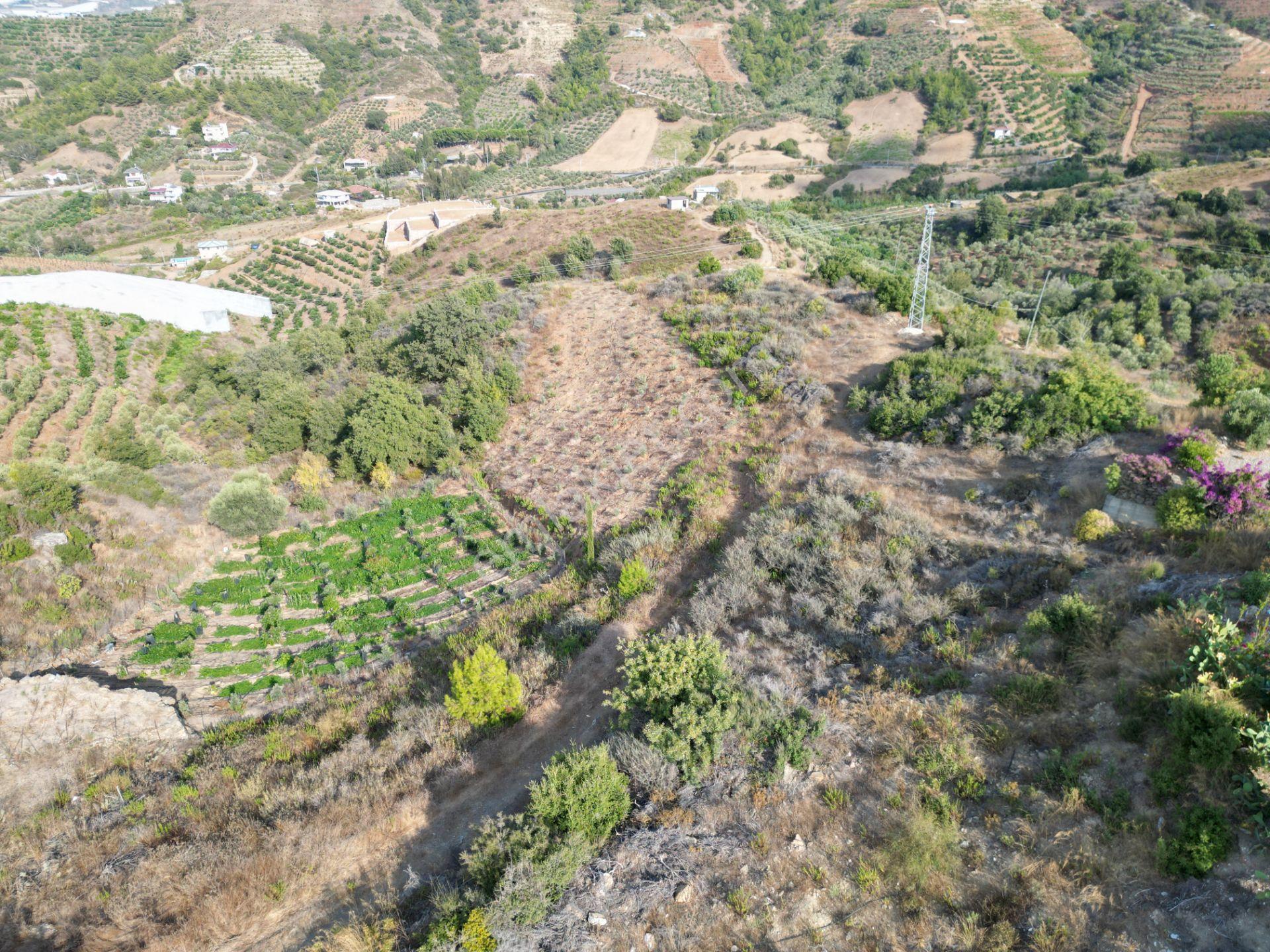 Gazipaşa Koru’da Satılık 1400 Metrekare Villa Arsası Doğa Ve Vadi Manzaralı - Görsel 7
