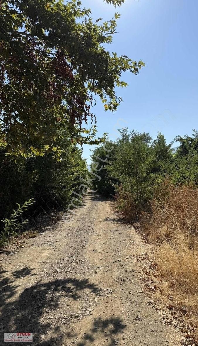 Kursunluda Satılık Tarla - Görsel 3