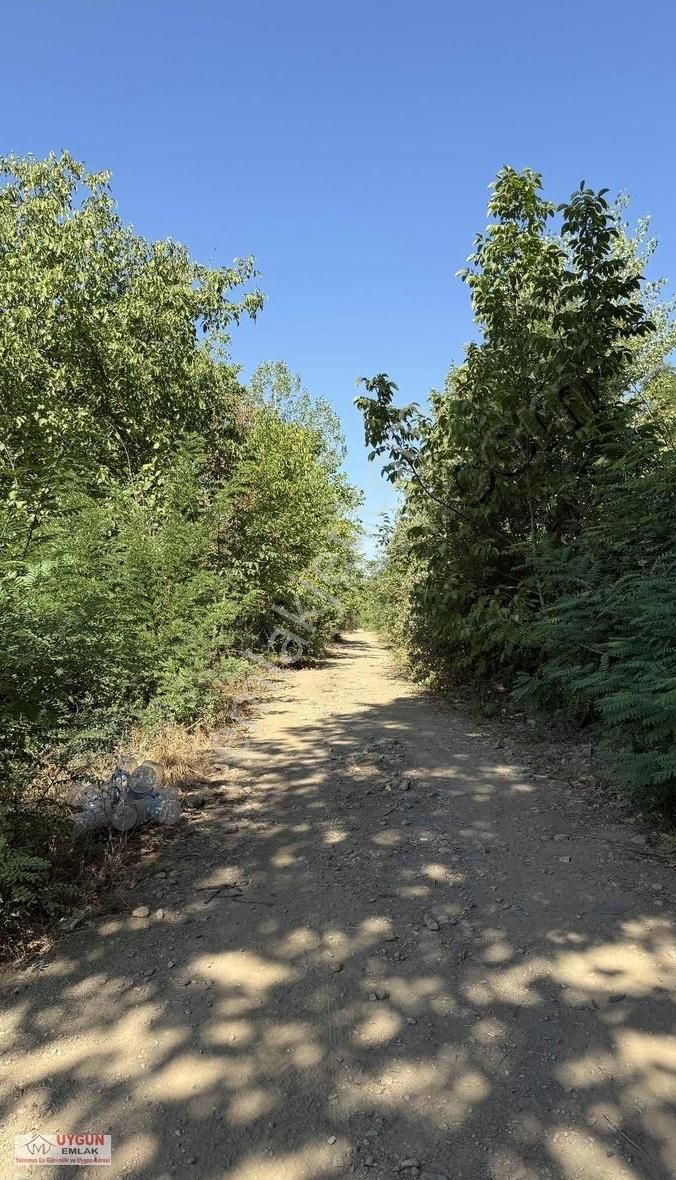 Kursunluda Satılık Tarla - Görsel 5