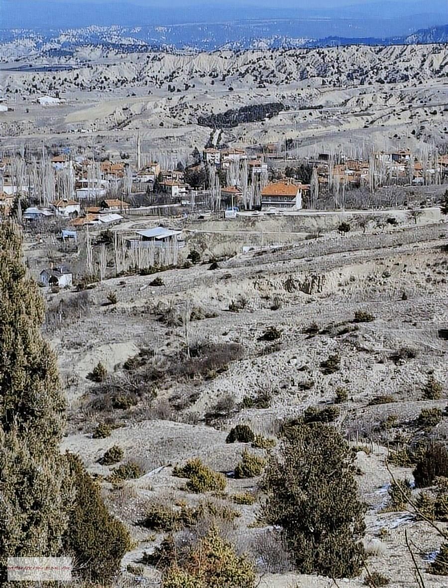 Burdur'un Antalya'ya En Yakın İlçesi Kemer Kemer De 7551 Bahçe - Görsel 16