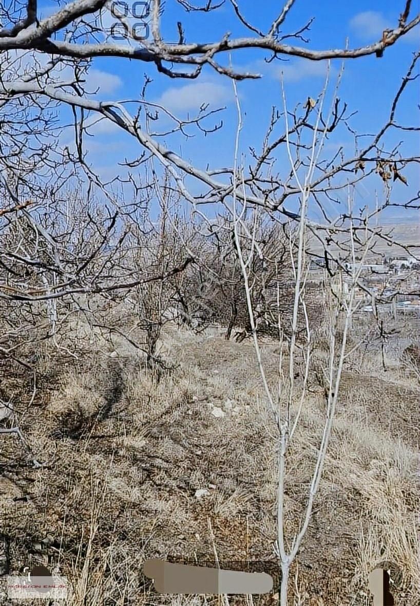 Burdur'un Antalya'ya En Yakın İlçesi Kemer Kemer De 7551 Bahçe - Görsel 32