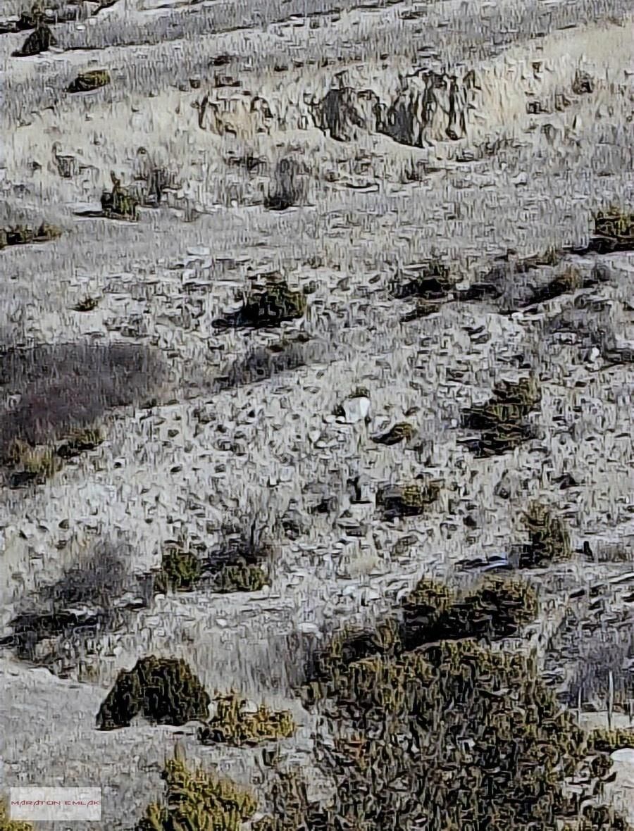 Burdur'un Antalya'ya En Yakın İlçesi Kemer Kemer De 7551 Bahçe - Görsel 12