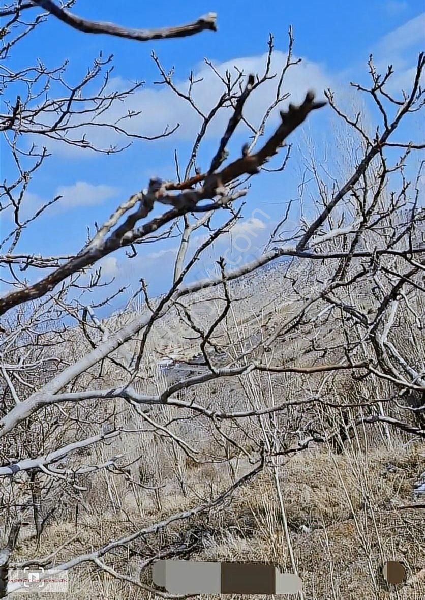 Burdur'un Antalya'ya En Yakın İlçesi Kemer Kemer De 7551 Bahçe - Görsel 30