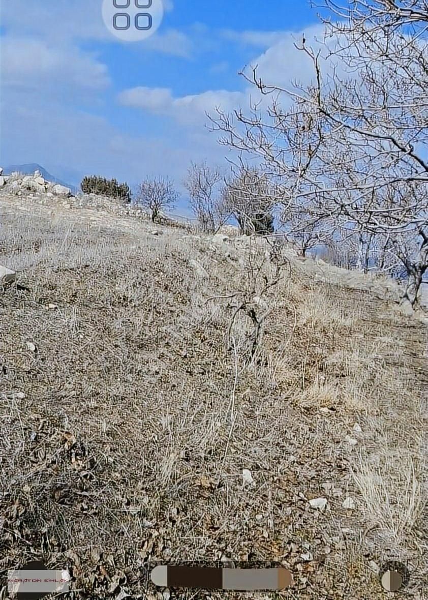 Burdur'un Antalya'ya En Yakın İlçesi Kemer Kemer De 7551 Bahçe - Görsel 11