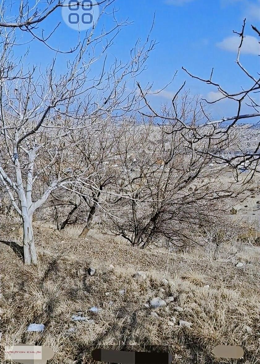 Burdur'un Antalya'ya En Yakın İlçesi Kemer Kemer De 7551 Bahçe - Görsel 22