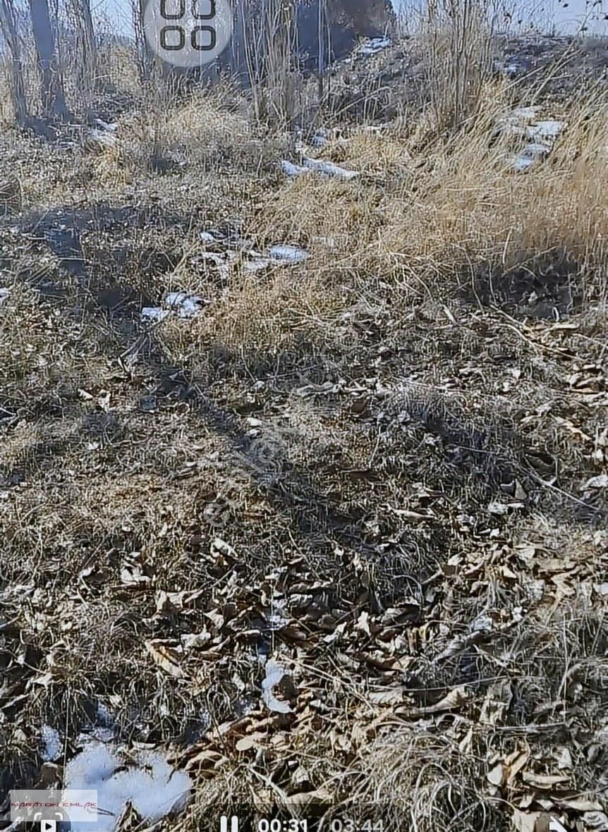 Burdur'un Antalya'ya En Yakın İlçesi Kemer Kemer De 7551 Bahçe - Görsel 5