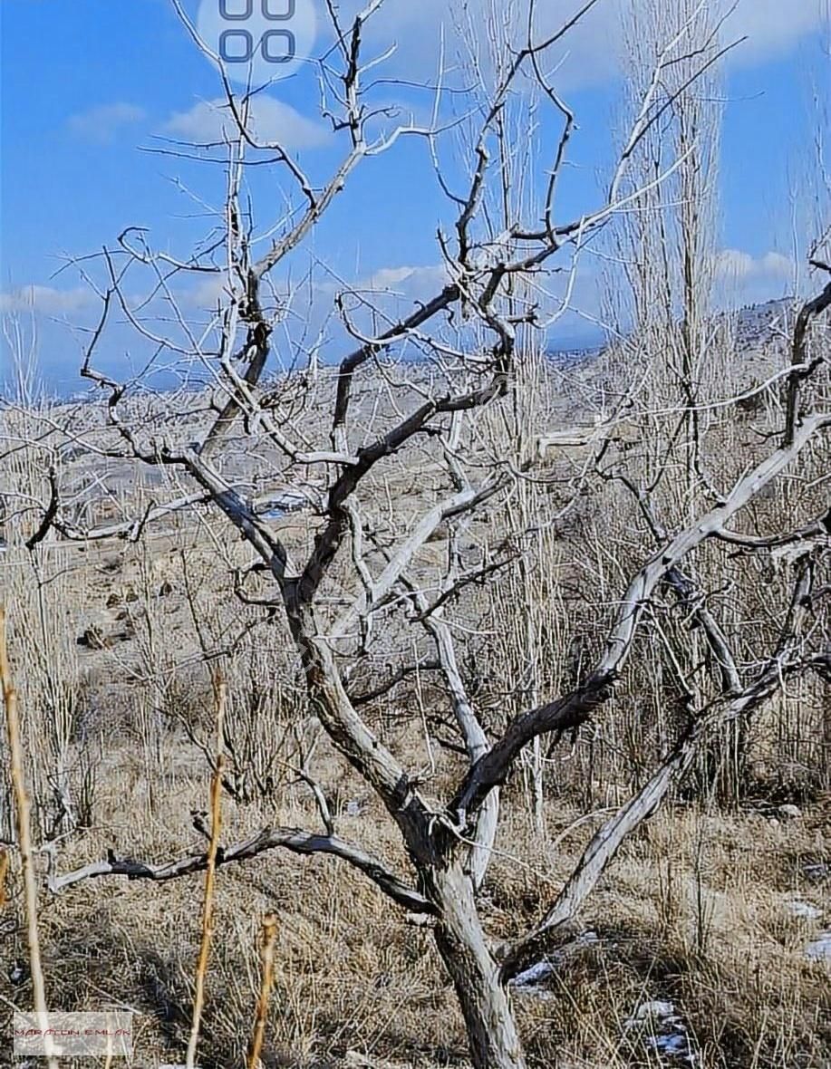 Burdur'un Antalya'ya En Yakın İlçesi Kemer Kemer De 7551 Bahçe - Görsel 27