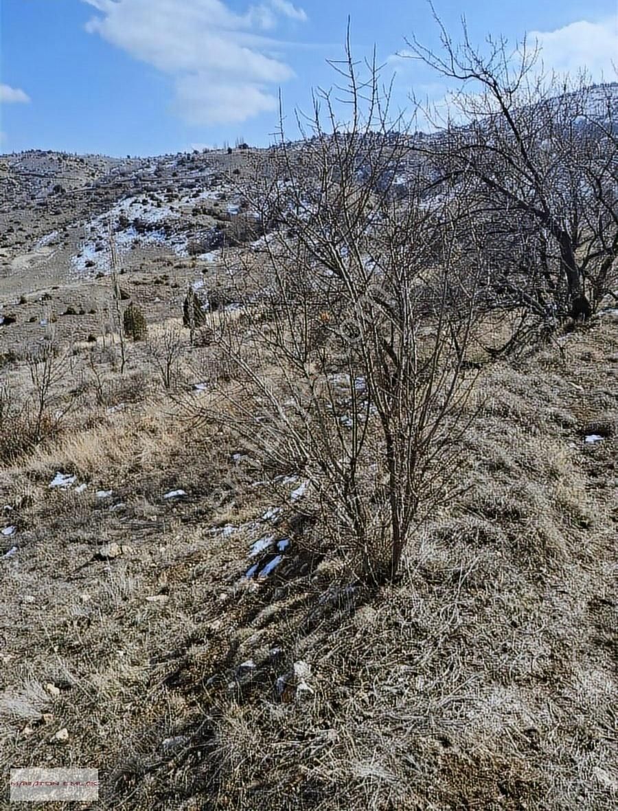 Burdur'un Antalya'ya En Yakın İlçesi Kemer Kemer De 7551 Bahçe - Görsel 8