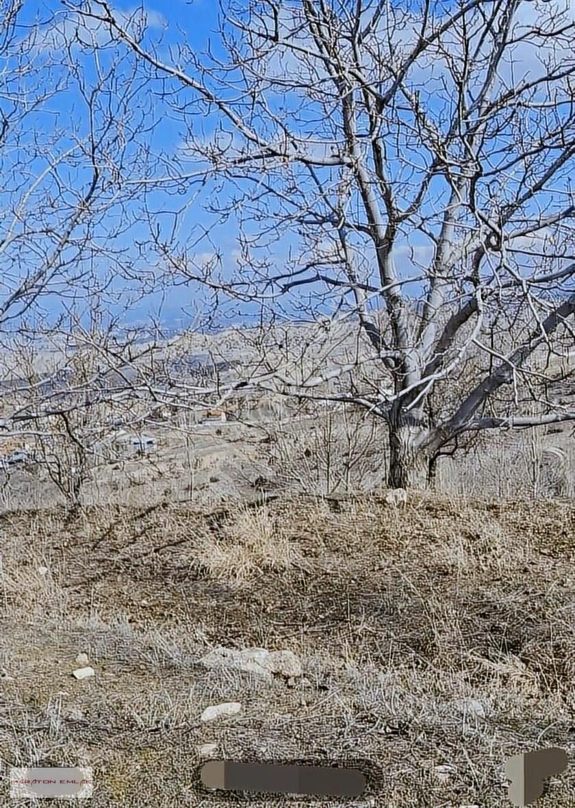 Burdur'un Antalya'ya En Yakın İlçesi Kemer Kemer De 7551 Bahçe - Görsel 10