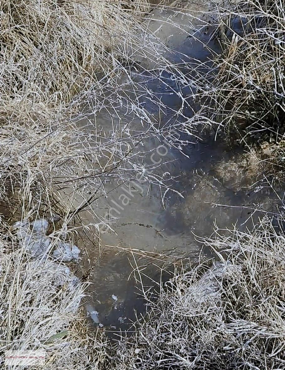 Burdur'un Antalya'ya En Yakın İlçesi Kemer Kemer De 7551 Bahçe - Görsel 15