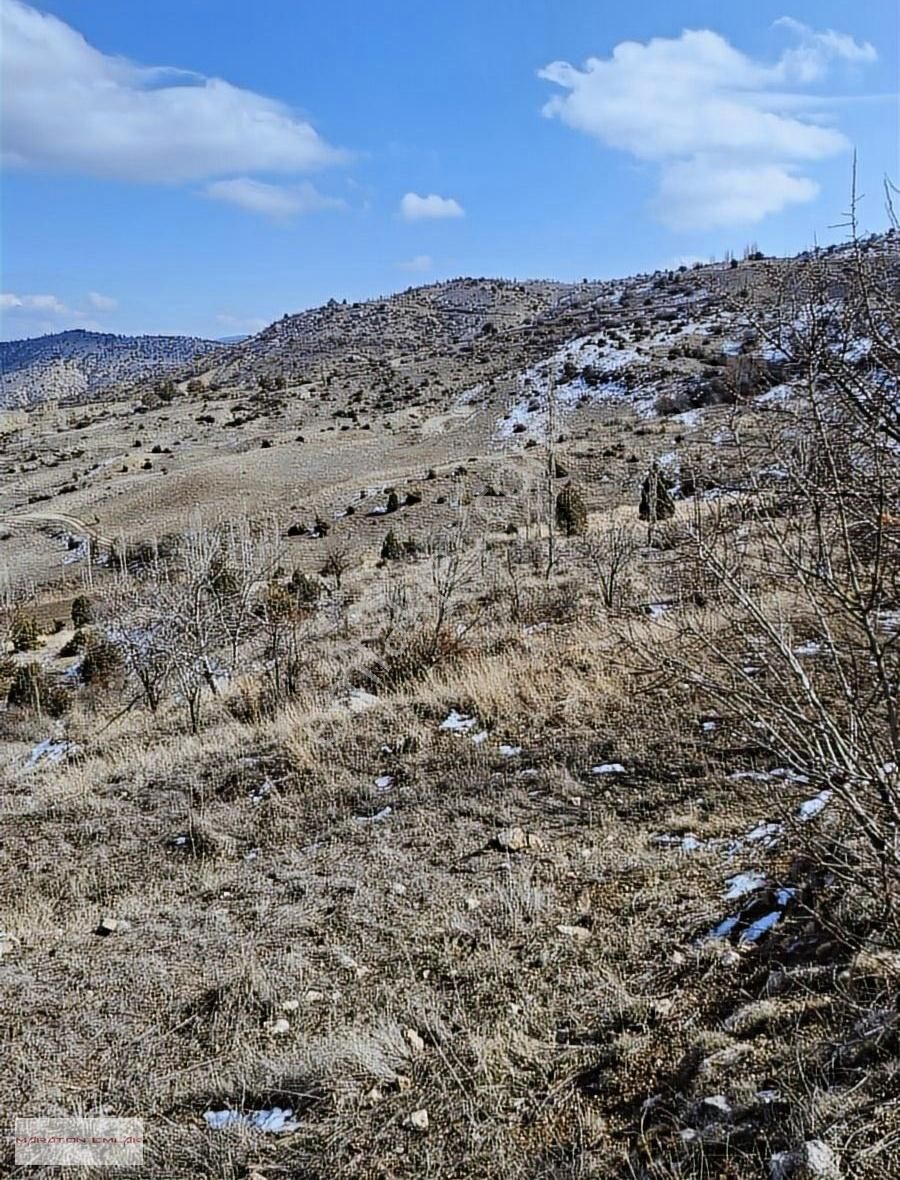 Burdur'un Antalya'ya En Yakın İlçesi Kemer Kemer De 7551 Bahçe - Görsel 18