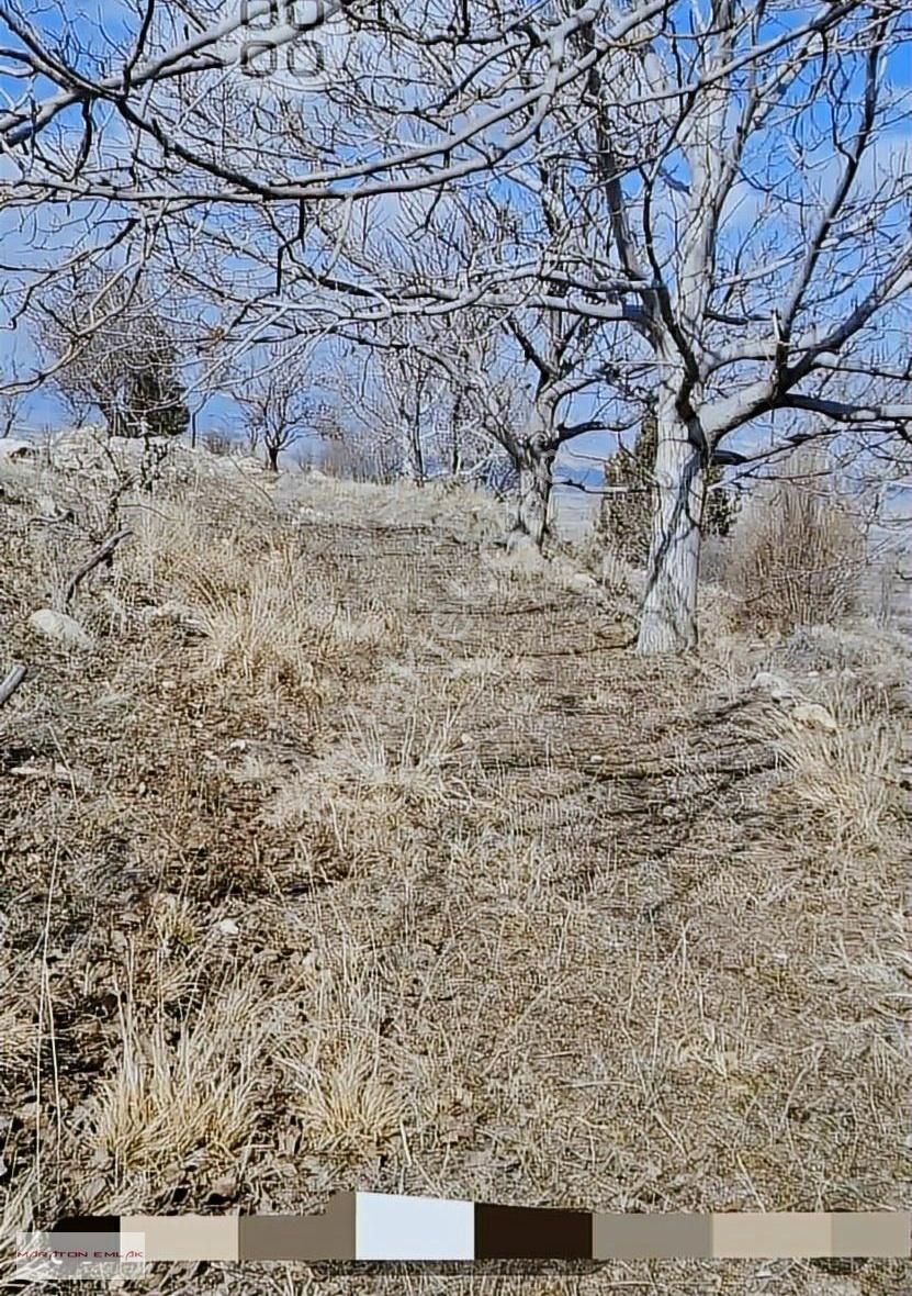 Burdur'un Antalya'ya En Yakın İlçesi Kemer Kemer De 7551 Bahçe - Görsel 19