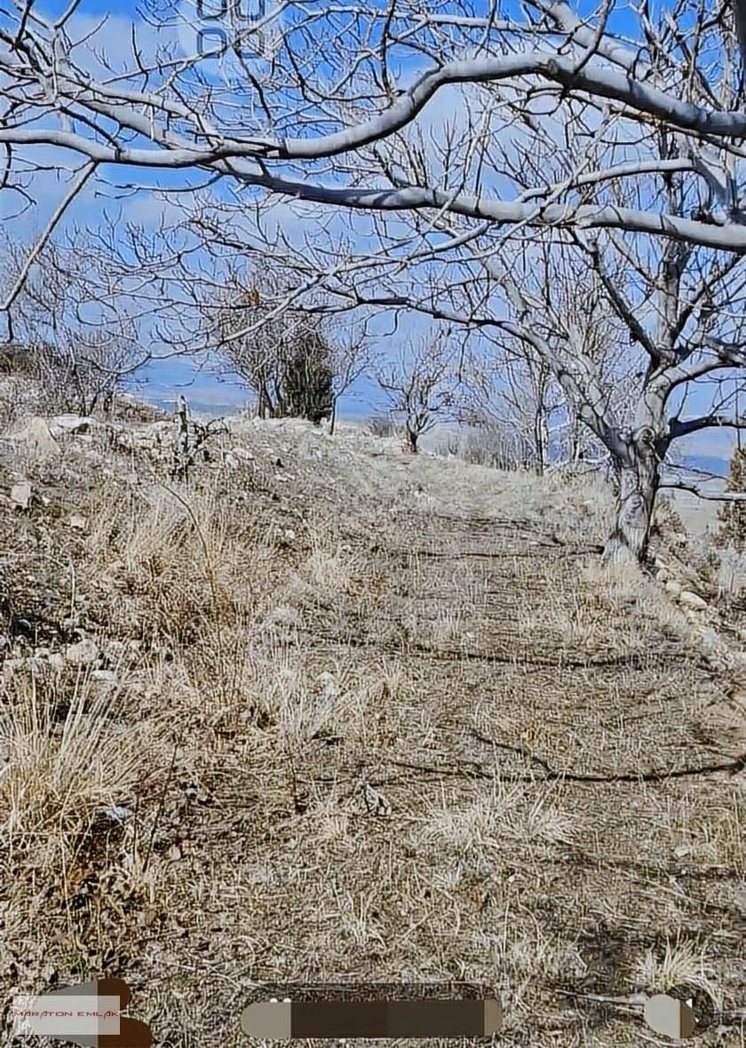 Burdur'un Antalya'ya En Yakın İlçesi Kemer Kemer De 7551 Bahçe - Görsel 33