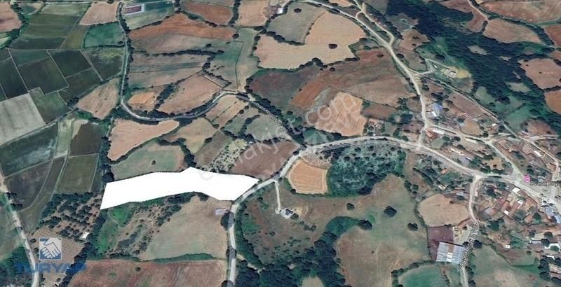 Çanakkale Biga Ovacık Köyü 10.338 M2 Satılık Tarla - Görsel 3