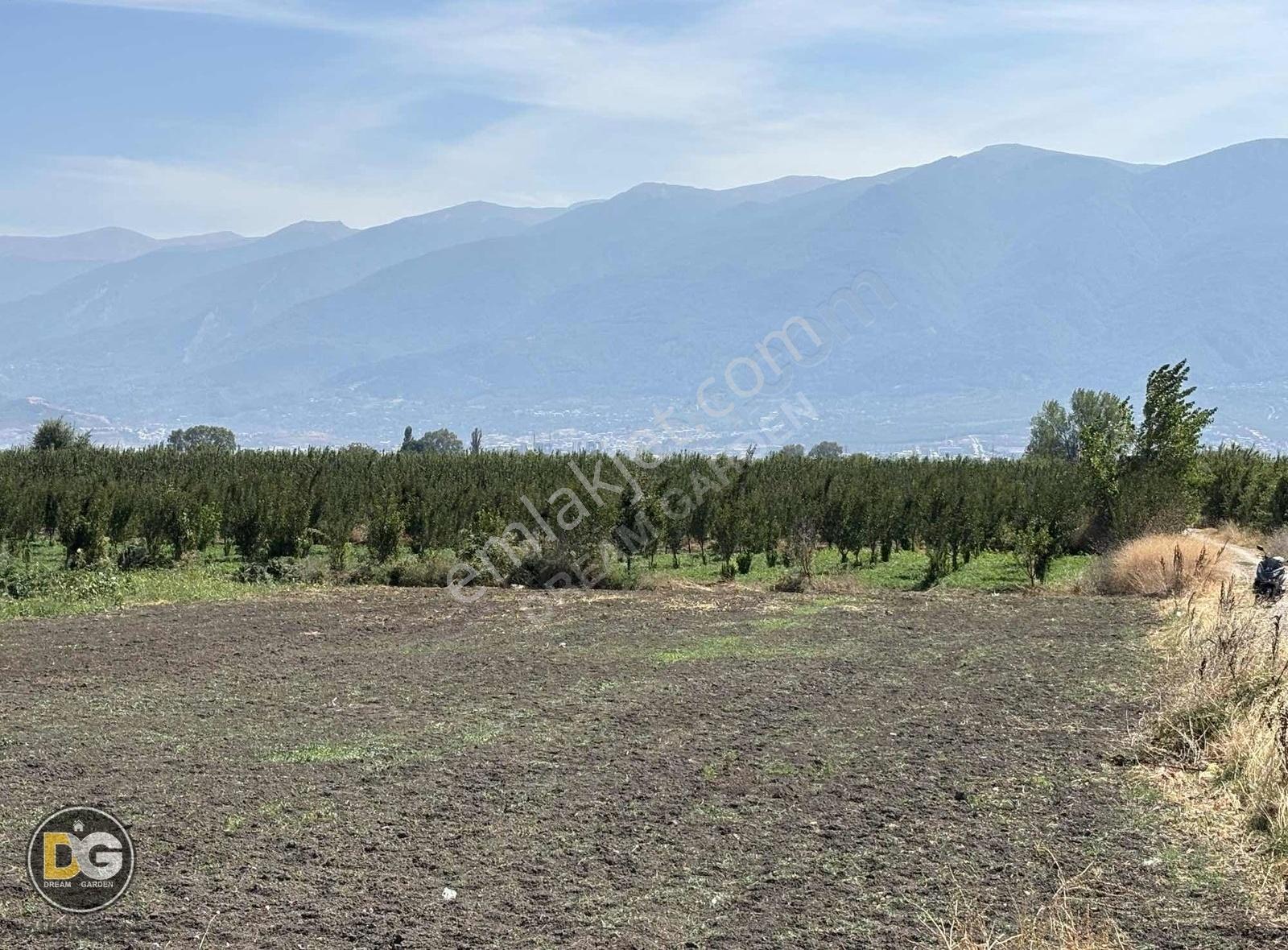 Bursa Gürsu Kazıklıda Şehir Merkezine 15 Dakka Hobi Bahçeleri - Görsel 12