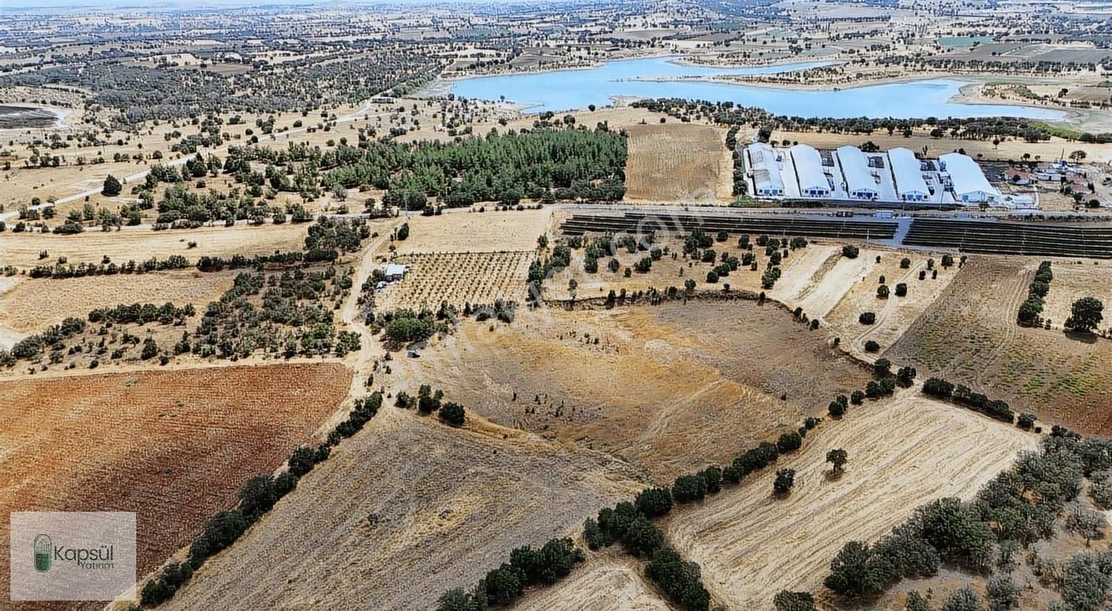 Uşak / Eşme / Kıranköy Mahallesinde 2.050 M² Müstakil Tapulu Tar - Görsel 8