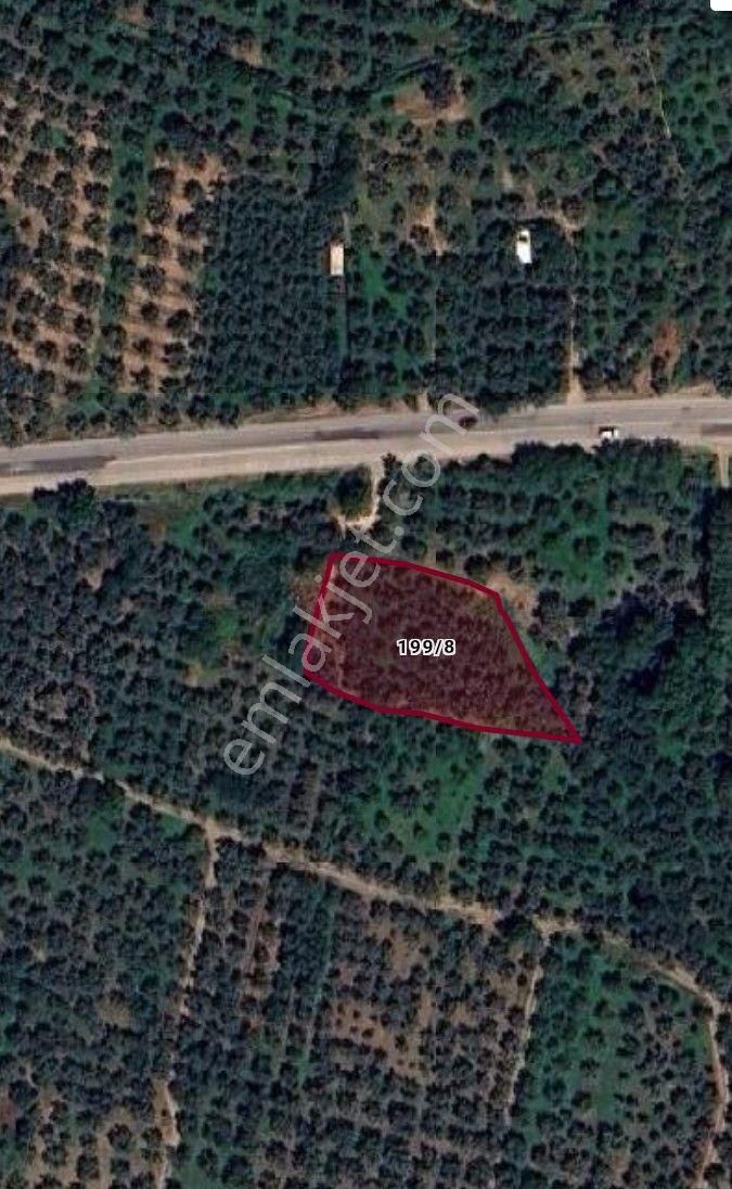 Kentmax'tan Çakırlı'da İznik Asfaltına 20 Metre Mesafede Kupon Zeytinlik