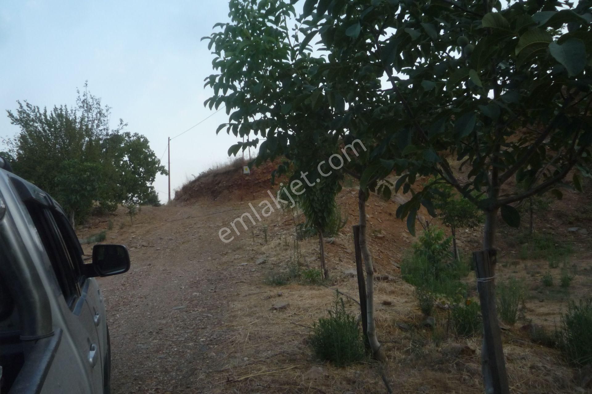 İzmir Torbalı Gold Emlaktan Alankıyıda Satılık Harika Bahçe - Görsel 6