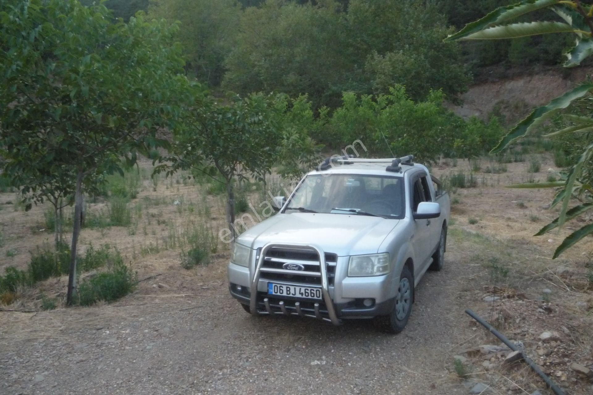 İzmir Torbalı Gold Emlaktan Alankıyıda Satılık Harika Bahçe