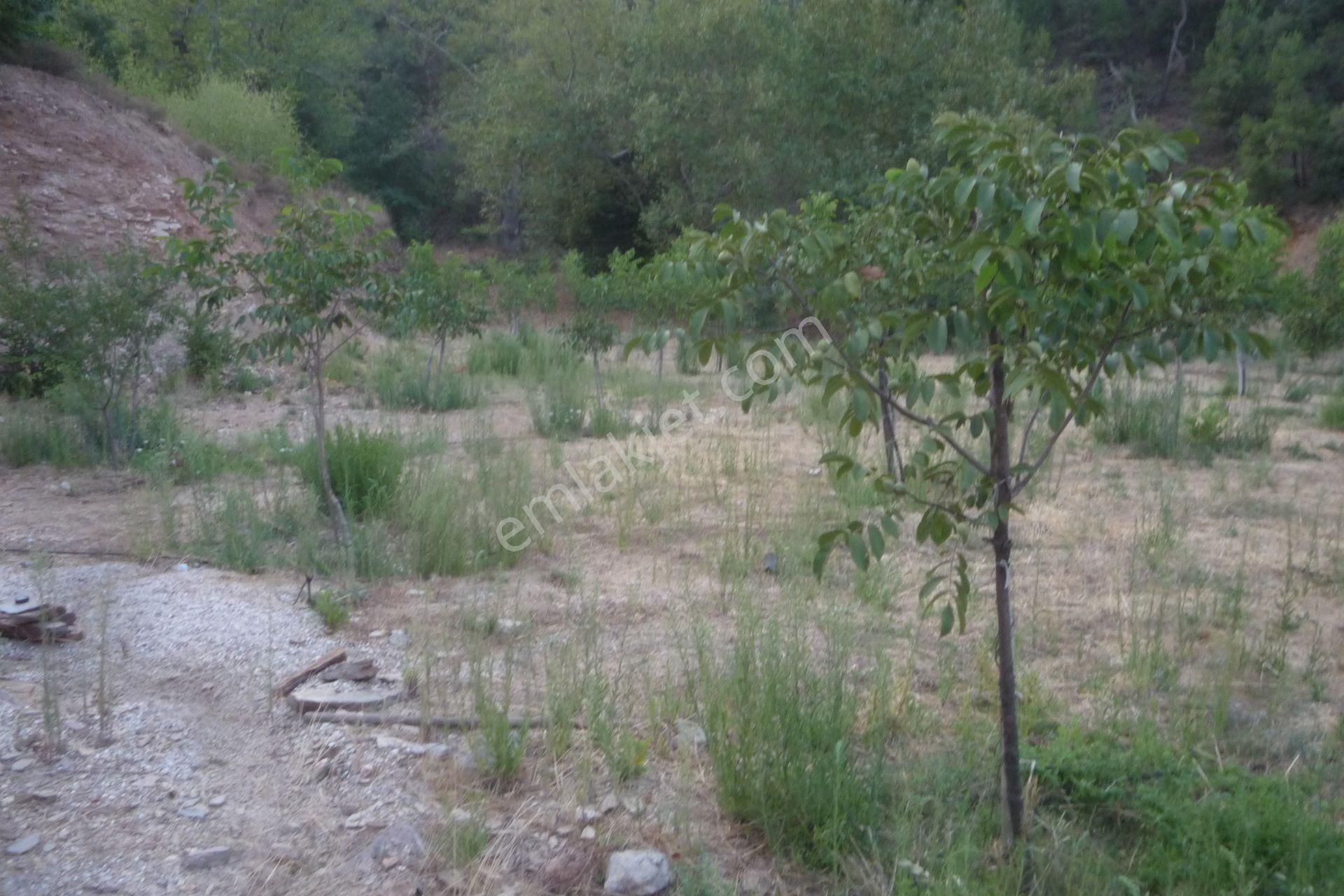 İzmir Torbalı Gold Emlaktan Alankıyıda Satılık Harika Bahçe - Görsel 11