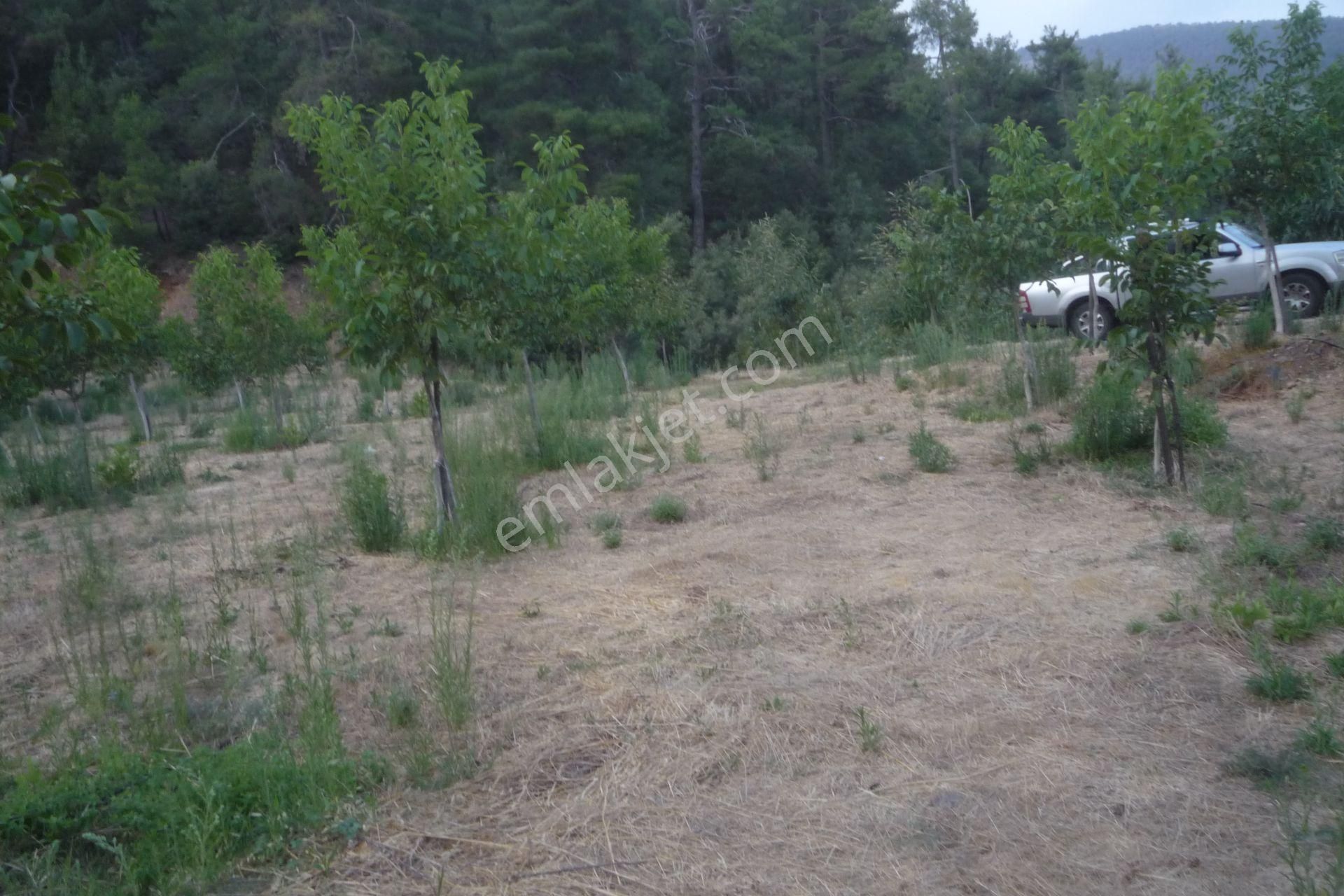 İzmir Torbalı Gold Emlaktan Alankıyıda Satılık Harika Bahçe - Görsel 9