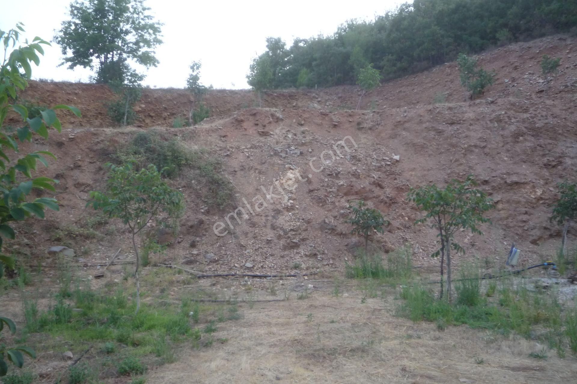 İzmir Torbalı Gold Emlaktan Alankıyıda Satılık Harika Bahçe - Görsel 7