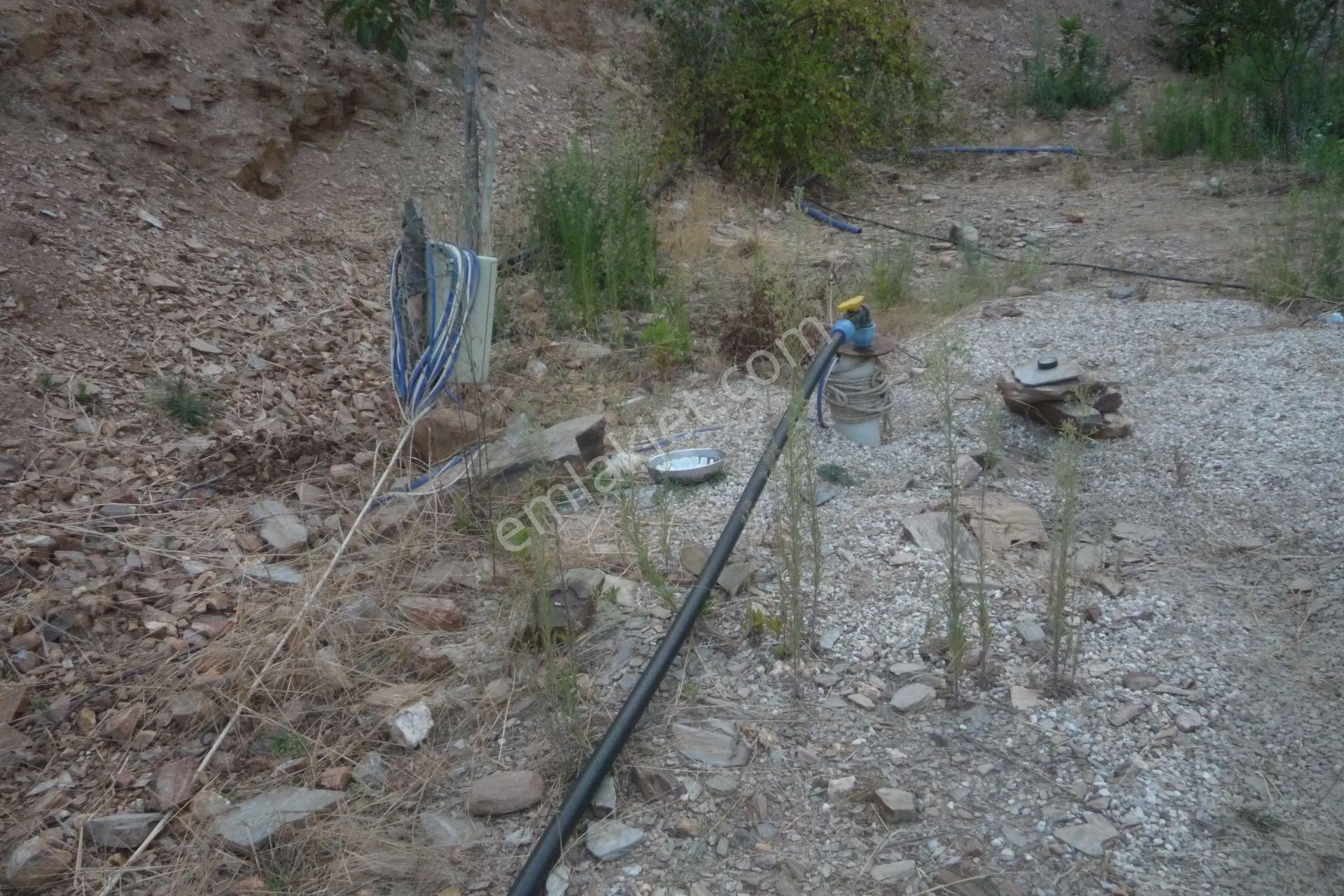 İzmir Torbalı Gold Emlaktan Alankıyıda Satılık Harika Bahçe - Görsel 8