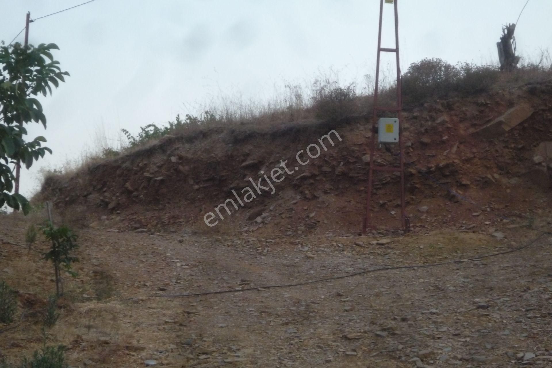 İzmir Torbalı Gold Emlaktan Alankıyıda Satılık Harika Bahçe - Görsel 16