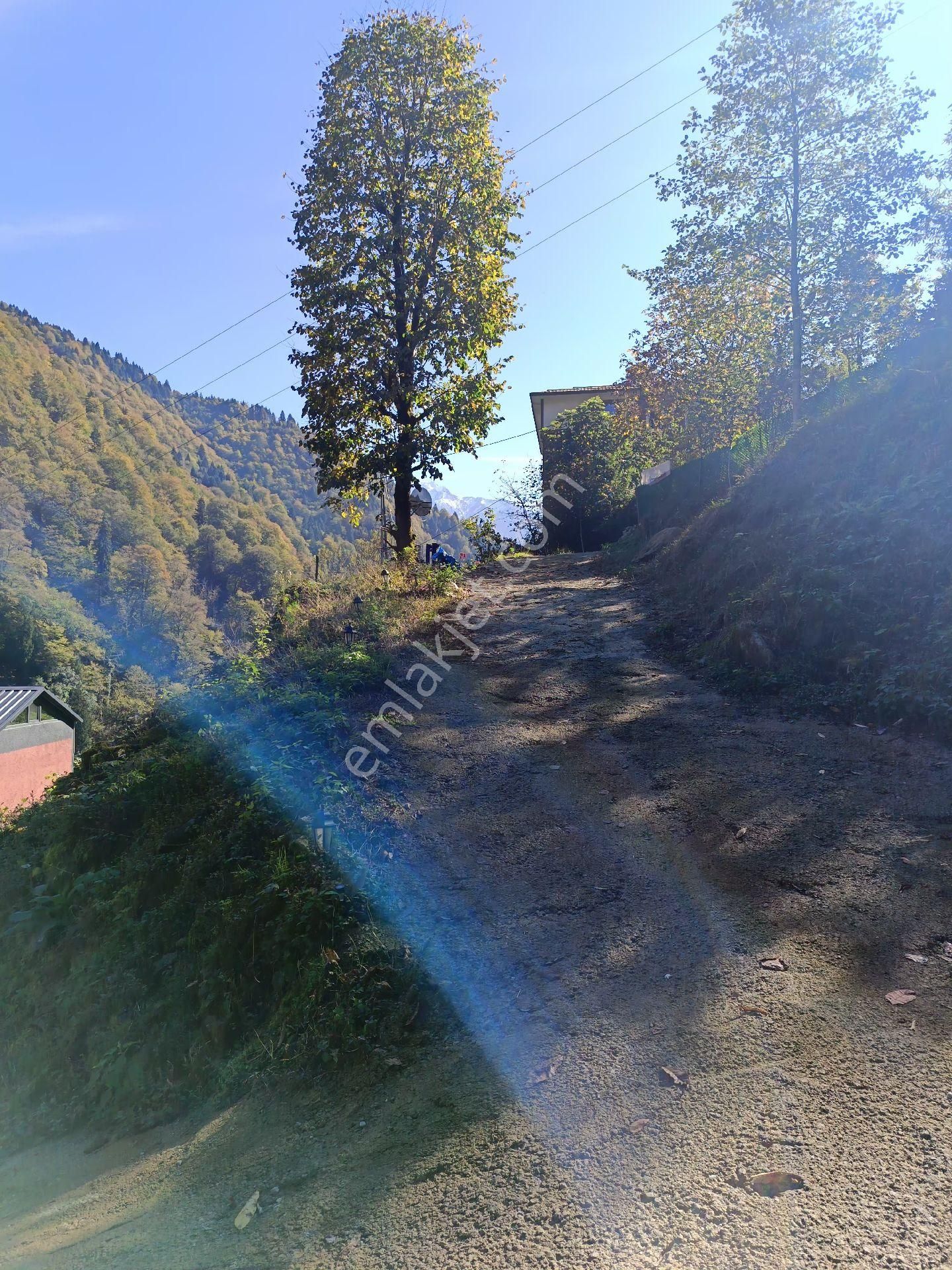 Turizm Bölsenin Gözde Yerinde Ayder Yaylasında 10 Dk Mesafede Herşeyi Hazır Durumda Tesis - Görsel 25