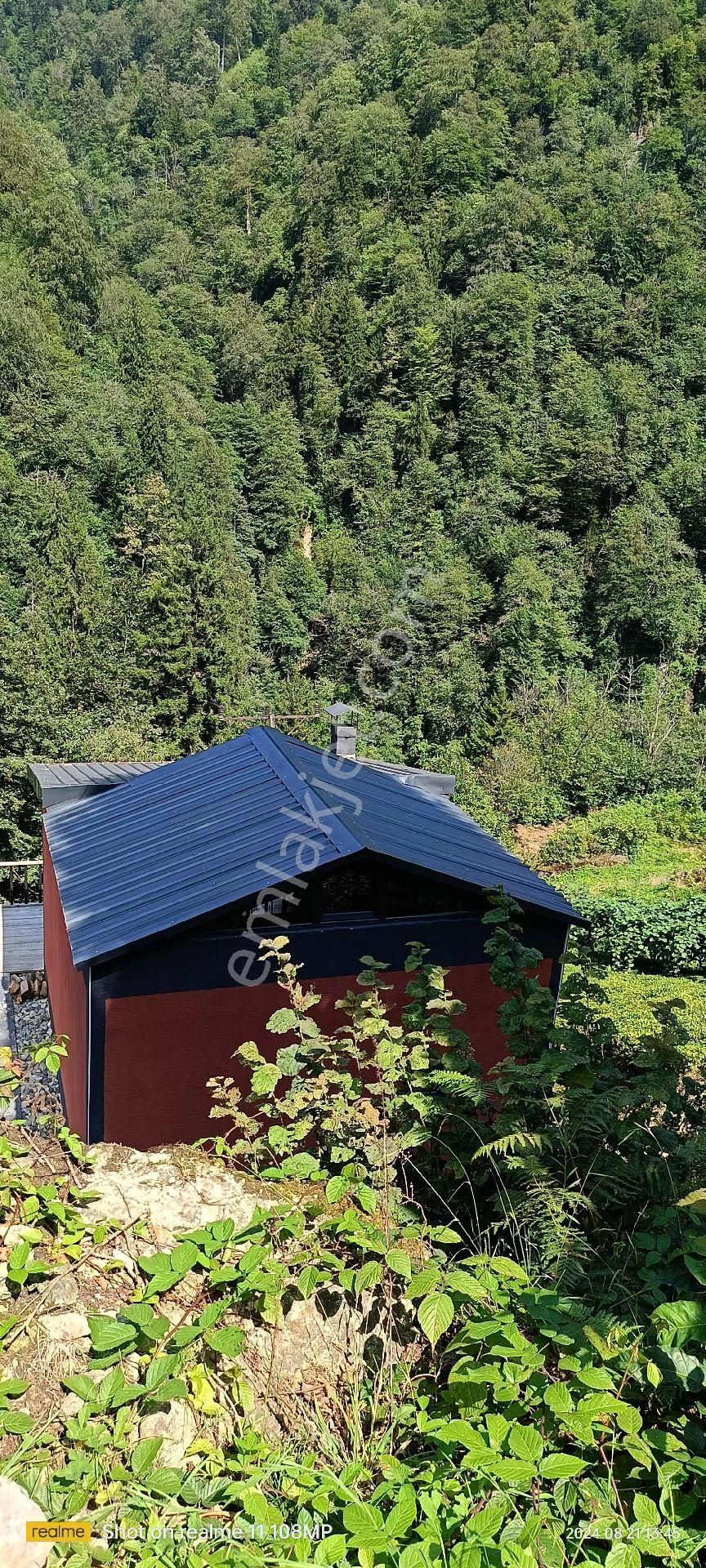 Turizm Bölsenin Gözde Yerinde Ayder Yaylasında 10 Dk Mesafede Herşeyi Hazır Durumda Tesis - Görsel 33