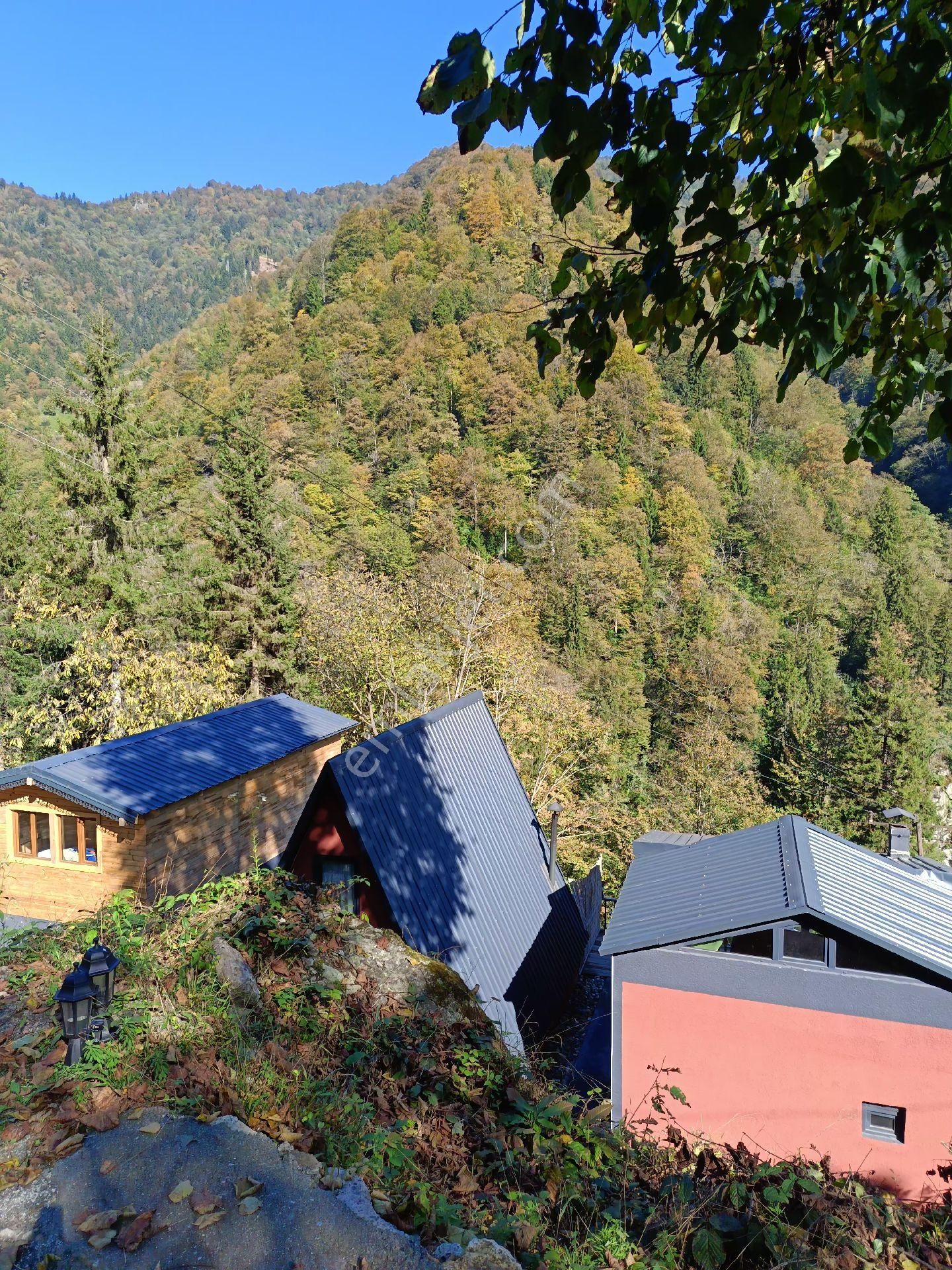 Turizm Bölsenin Gözde Yerinde Ayder Yaylasında 10 Dk Mesafede Herşeyi Hazır Durumda Tesis - Görsel 24