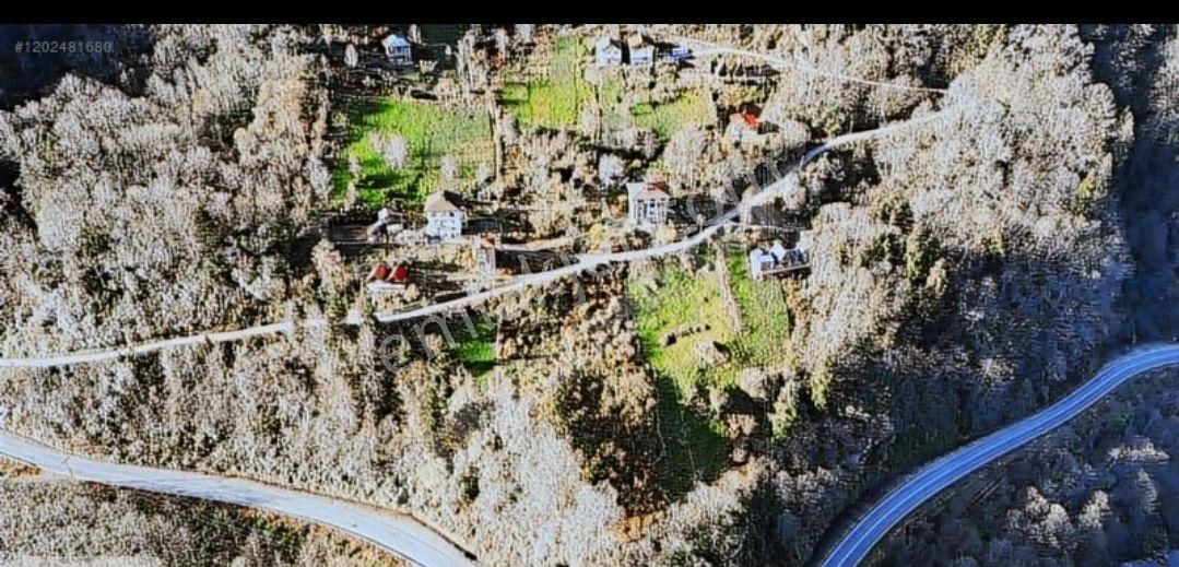 Turizm Bölsenin Gözde Yerinde Ayder Yaylasında 10 Dk Mesafede Herşeyi Hazır Durumda Tesis - Görsel 19