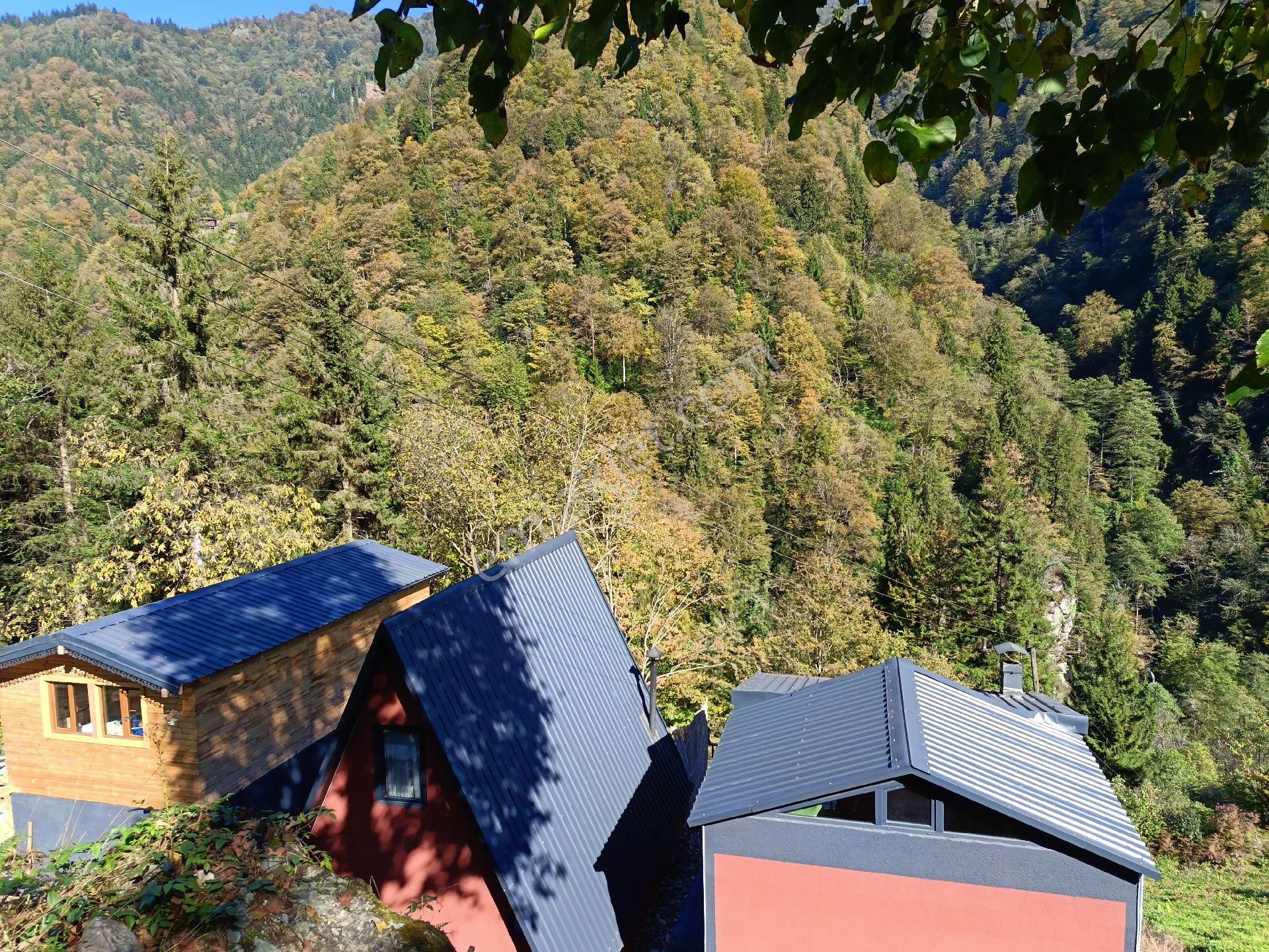 Turizm Bölsenin Gözde Yerinde Ayder Yaylasında 10 Dk Mesafede Herşeyi Hazır Durumda Tesis - Görsel 23