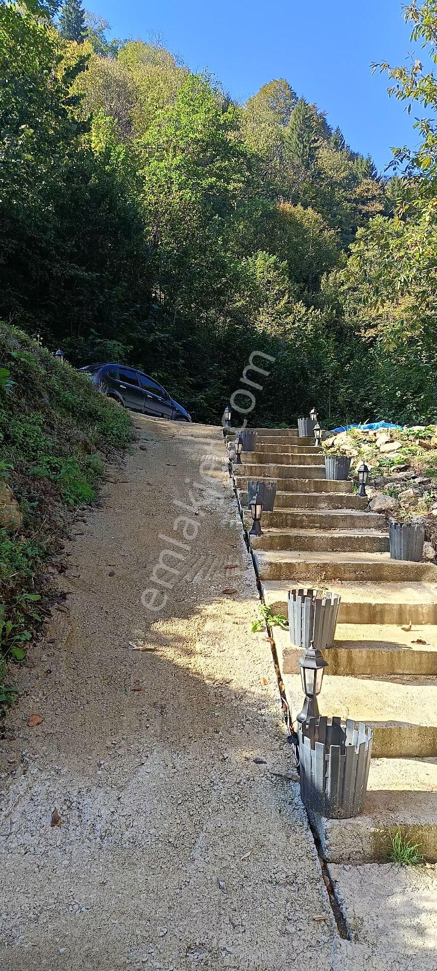 Turizm Bölsenin Gözde Yerinde Ayder Yaylasında 10 Dk Mesafede Herşeyi Hazır Durumda Tesis - Görsel 32