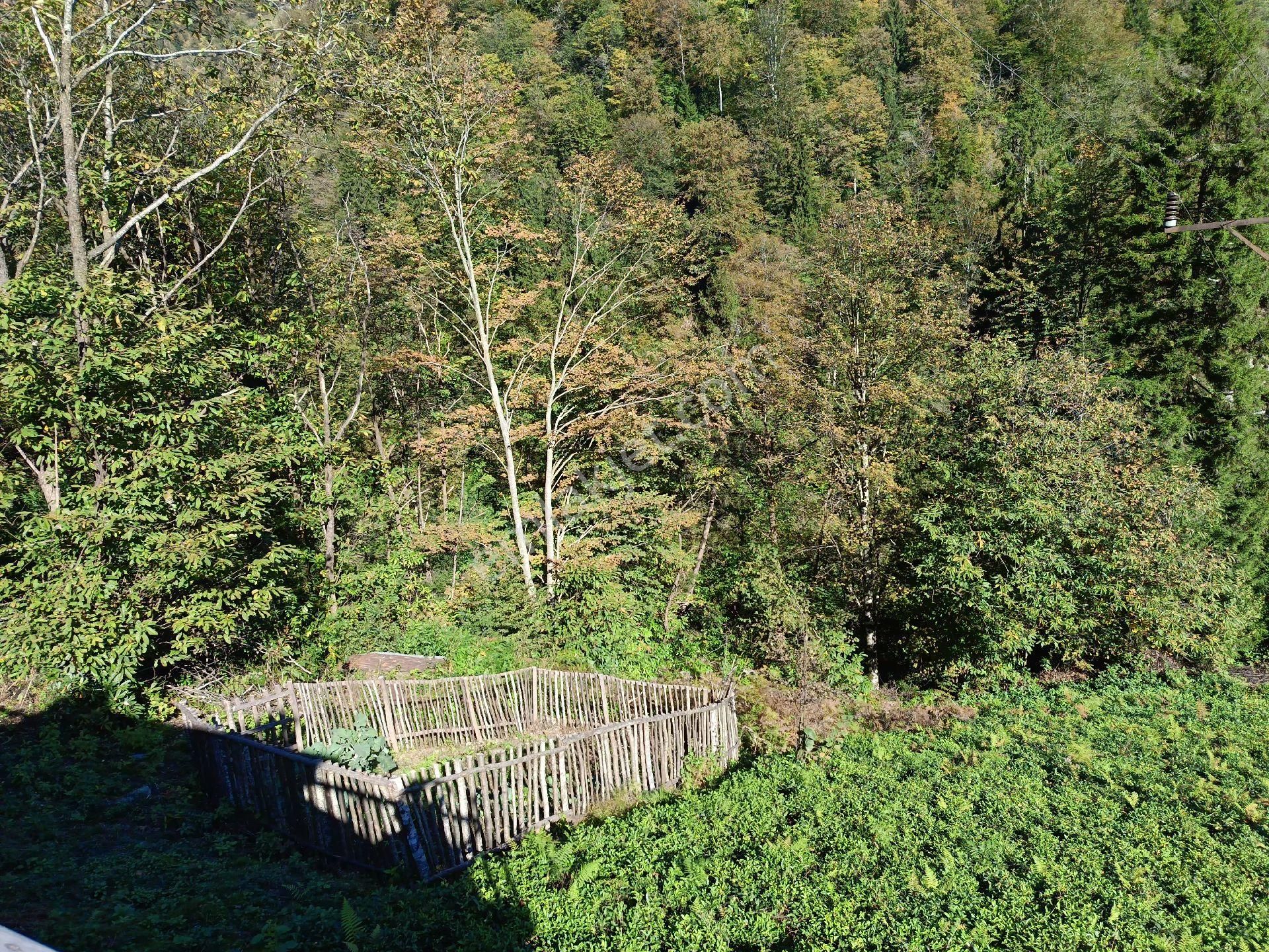 Turizm Bölsenin Gözde Yerinde Ayder Yaylasında 10 Dk Mesafede Herşeyi Hazır Durumda Tesis - Görsel 28