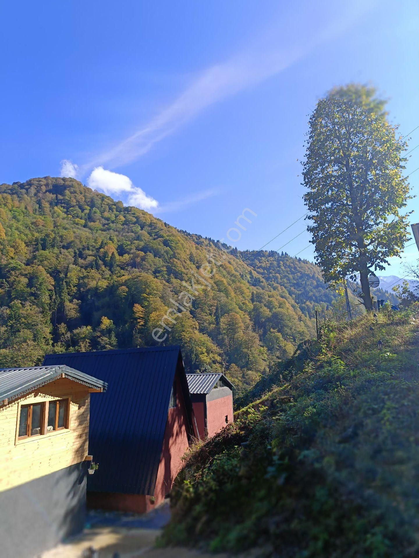 Turizm Bölsenin Gözde Yerinde Ayder Yaylasında 10 Dk Mesafede Herşeyi Hazır Durumda Tesis - Görsel 29