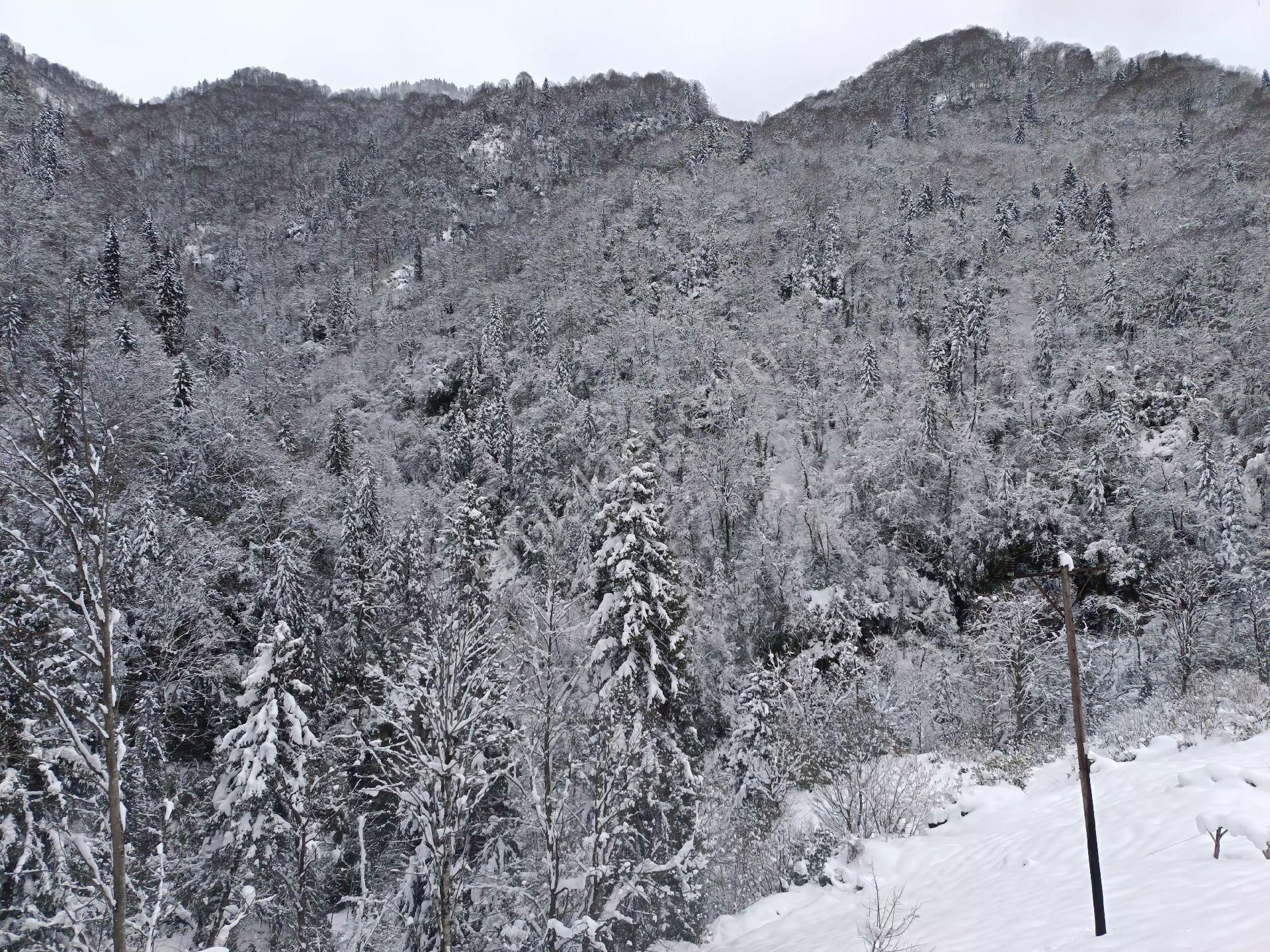 Turizm Bölsenin Gözde Yerinde Ayder Yaylasında 10 Dk Mesafede Herşeyi Hazır Durumda Tesis - Görsel 18